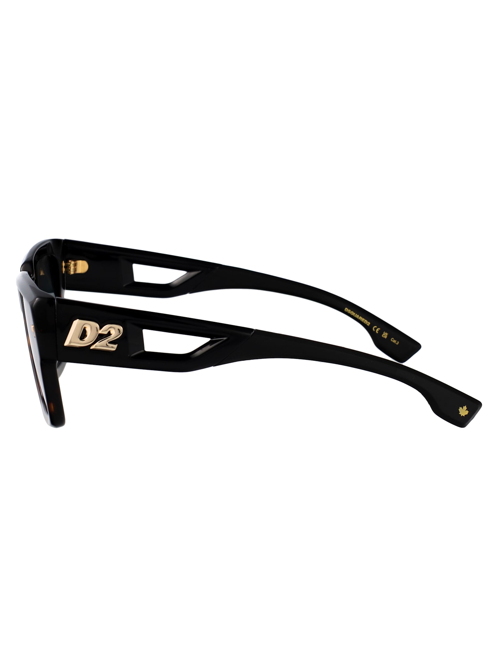 Dsquared2 D2 0143/s Sunglasses In Brown