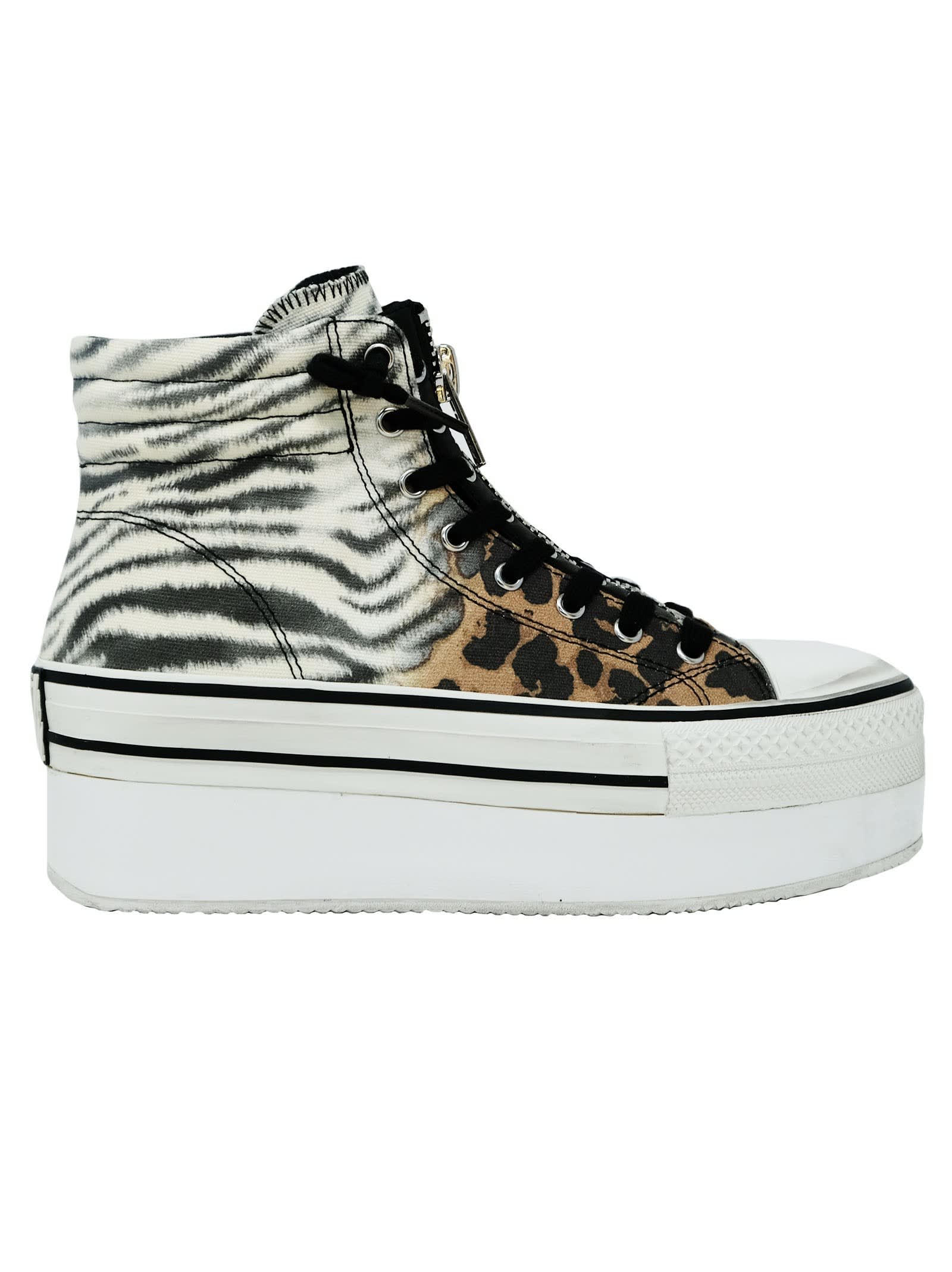 ash jagger sneakers