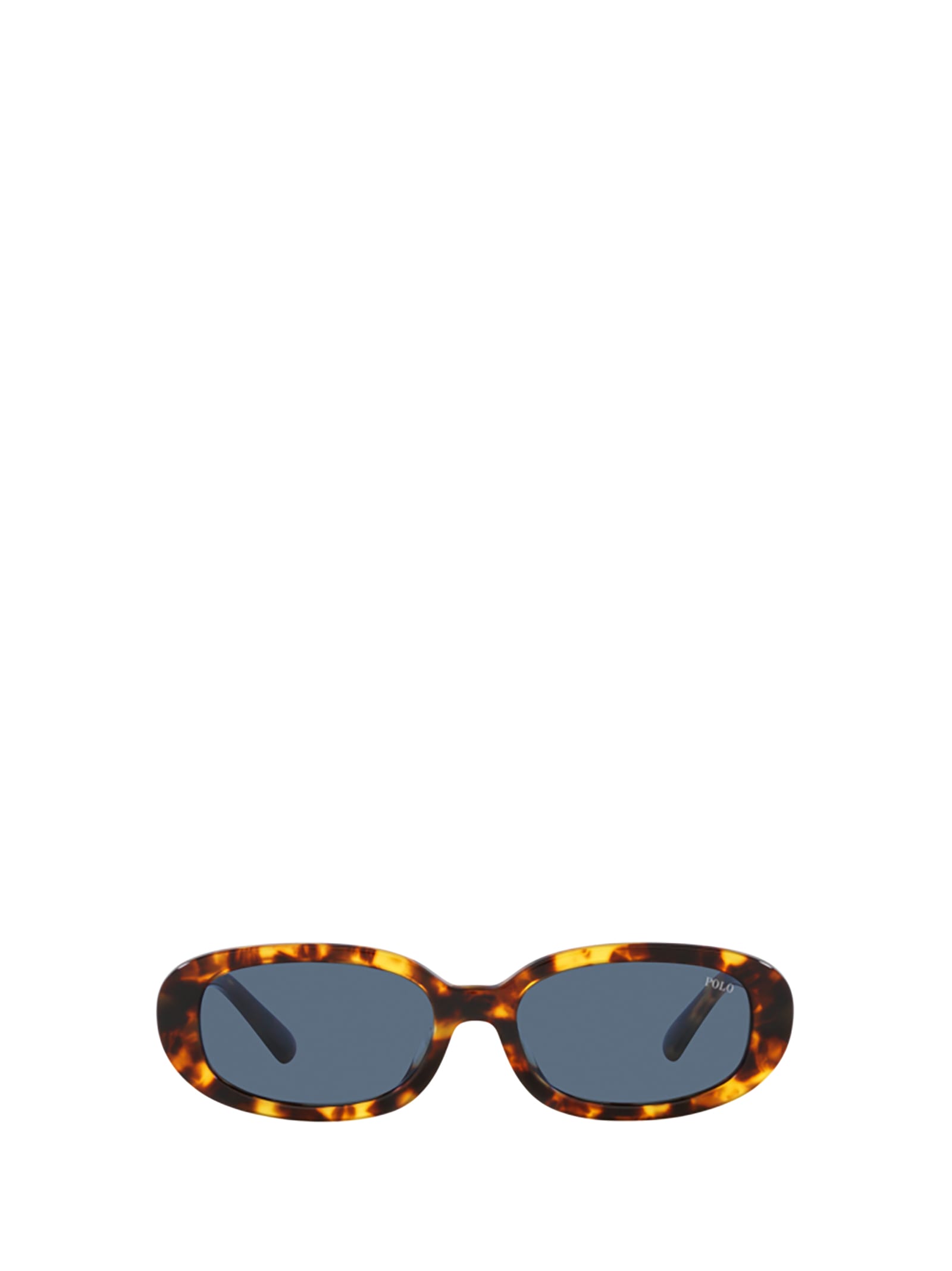 Polo Ralph Lauren Ph4198u Shiny Havana Sunglasses