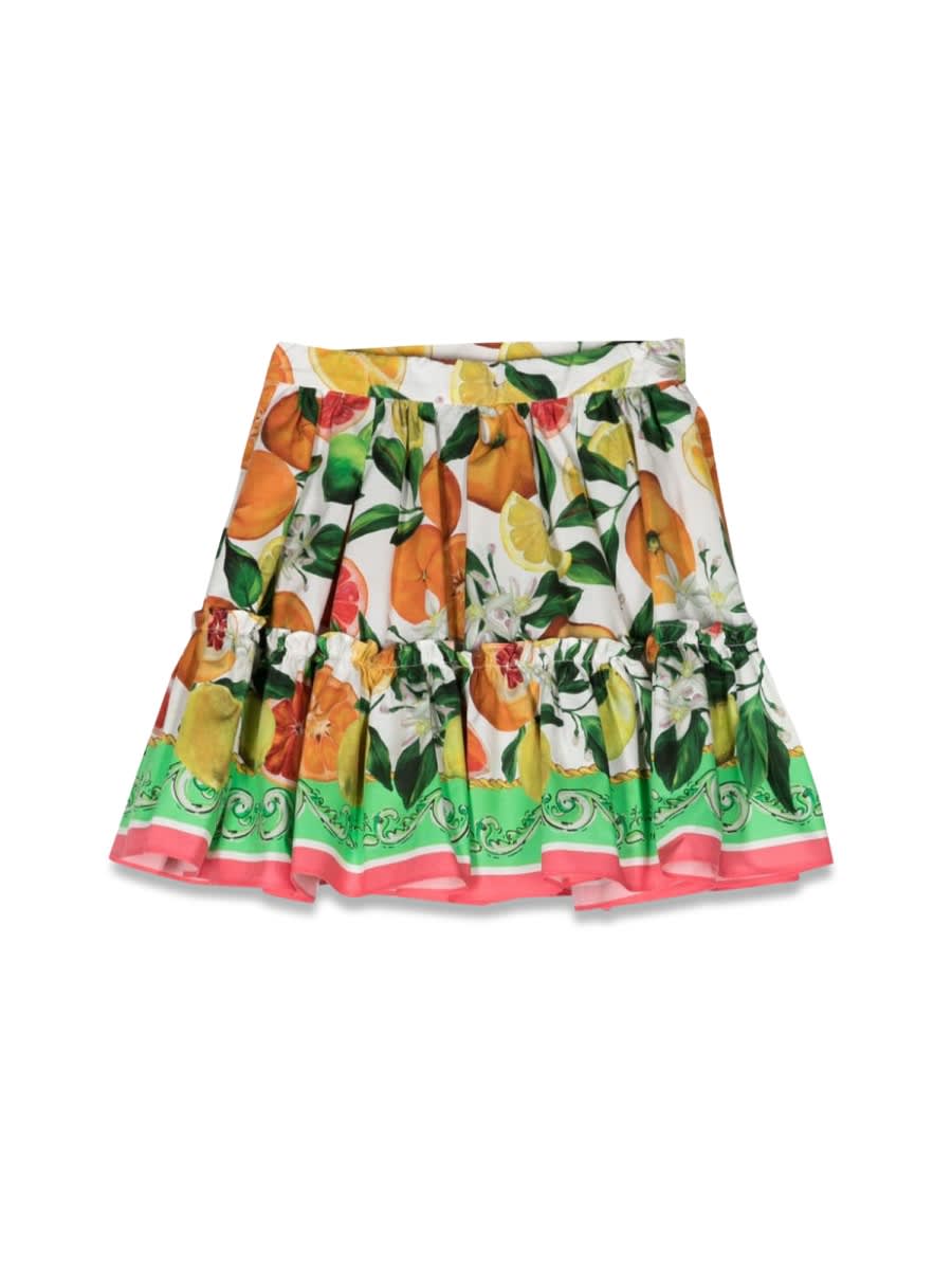 Shop Dolce & Gabbana Skirt In Multicolour