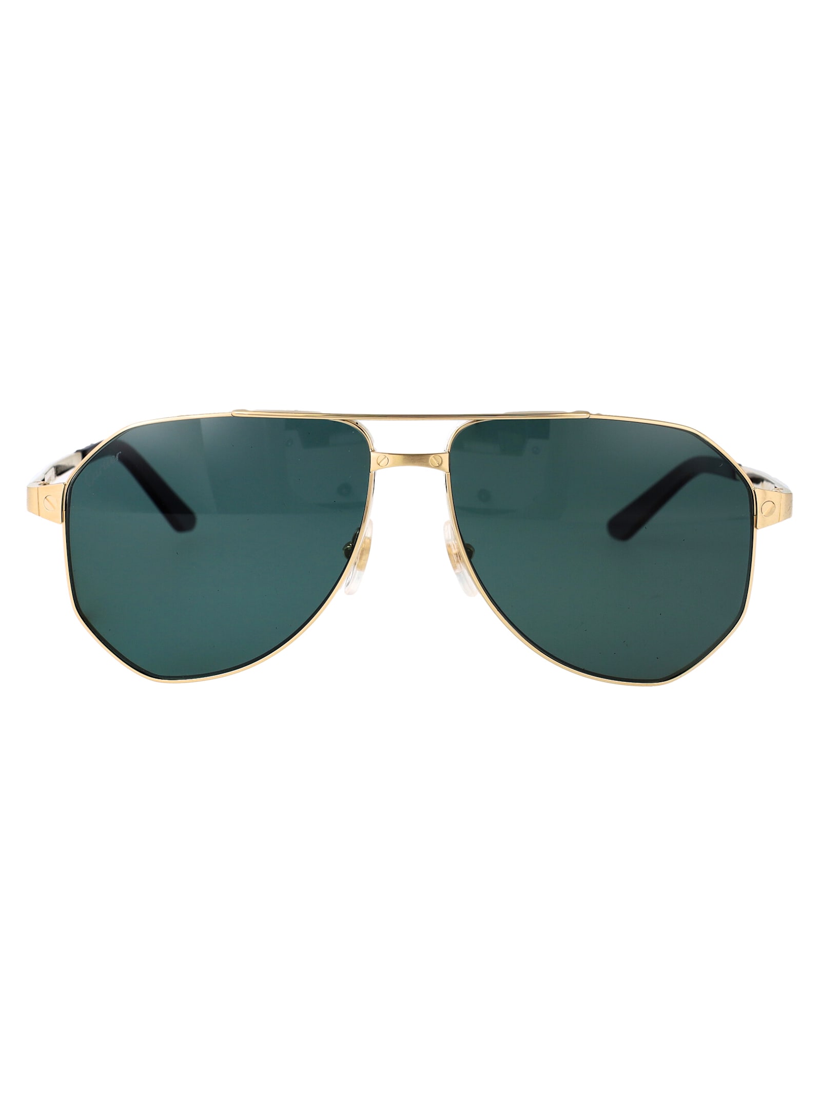 Ct0461s Sunglasses