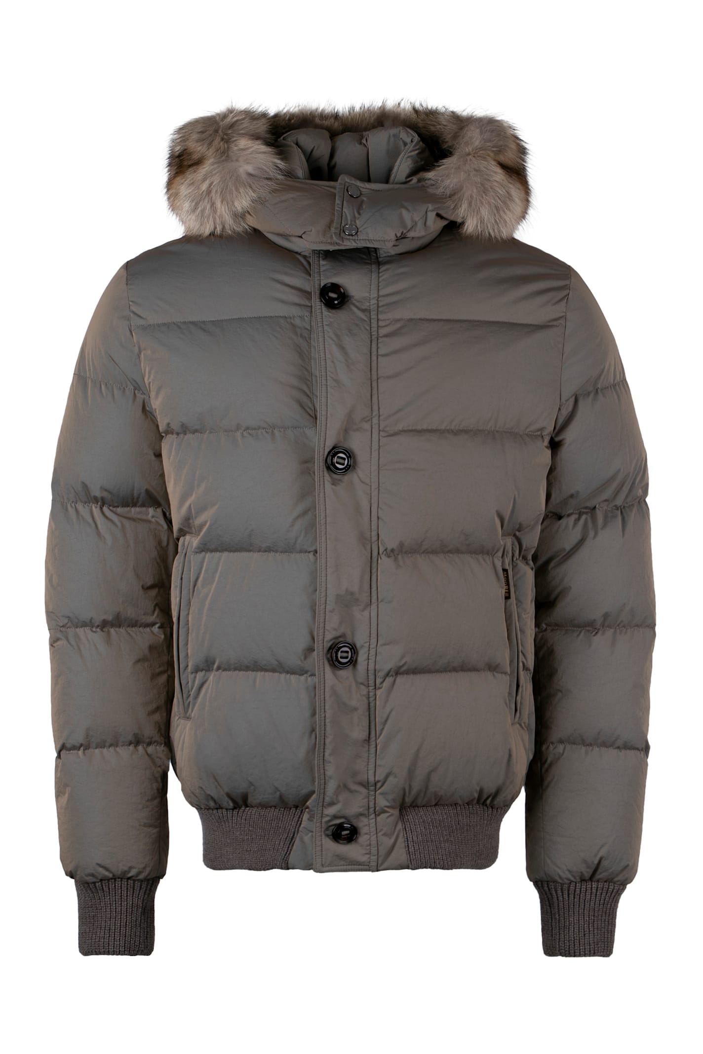 Bacco Padded Bomber Jacket