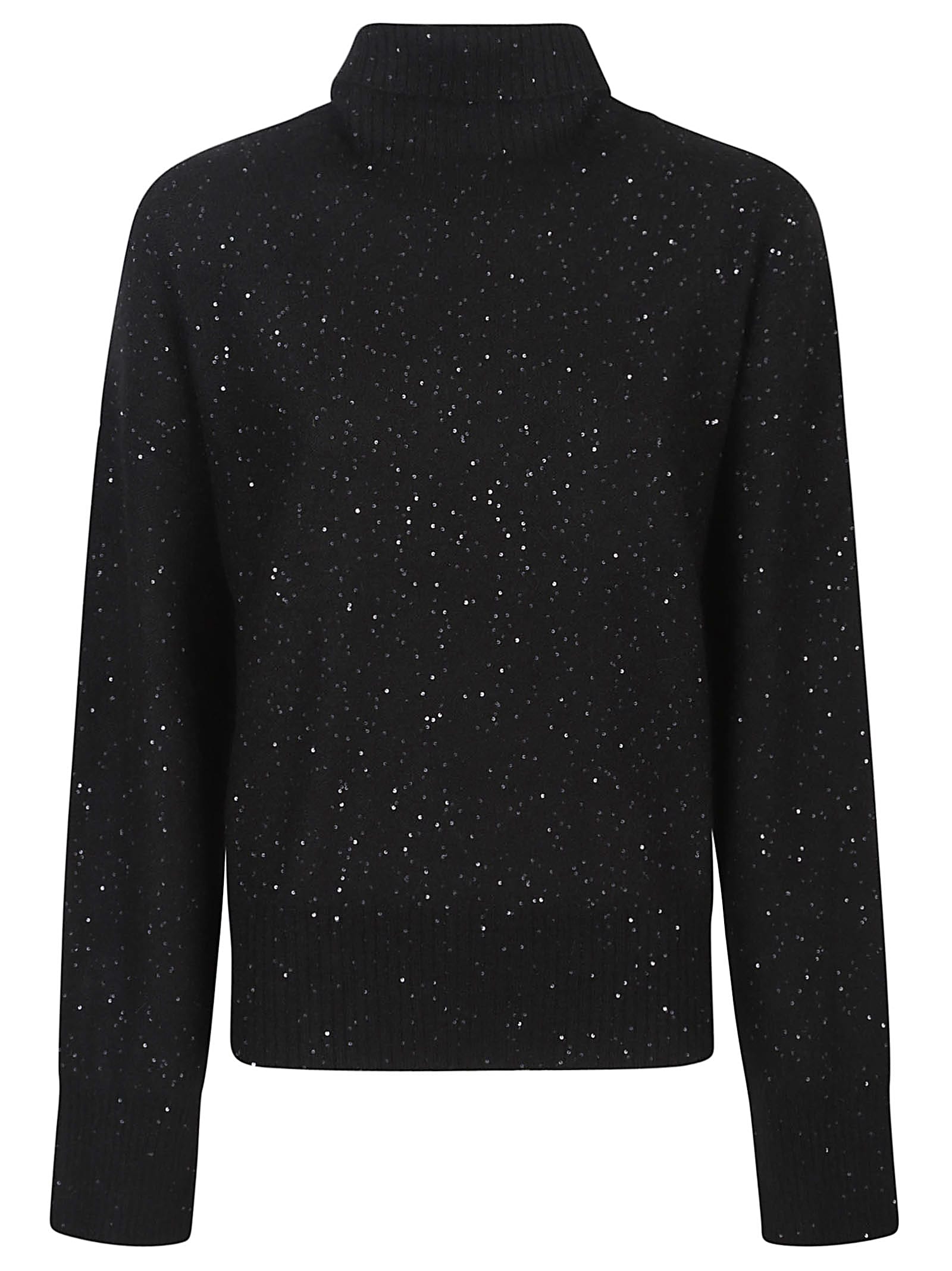 Fabiana Filippi Turtle Neck Sweater In Black