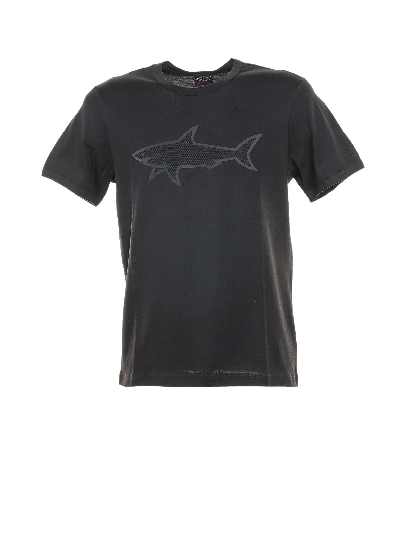 Shark Print T-shirt