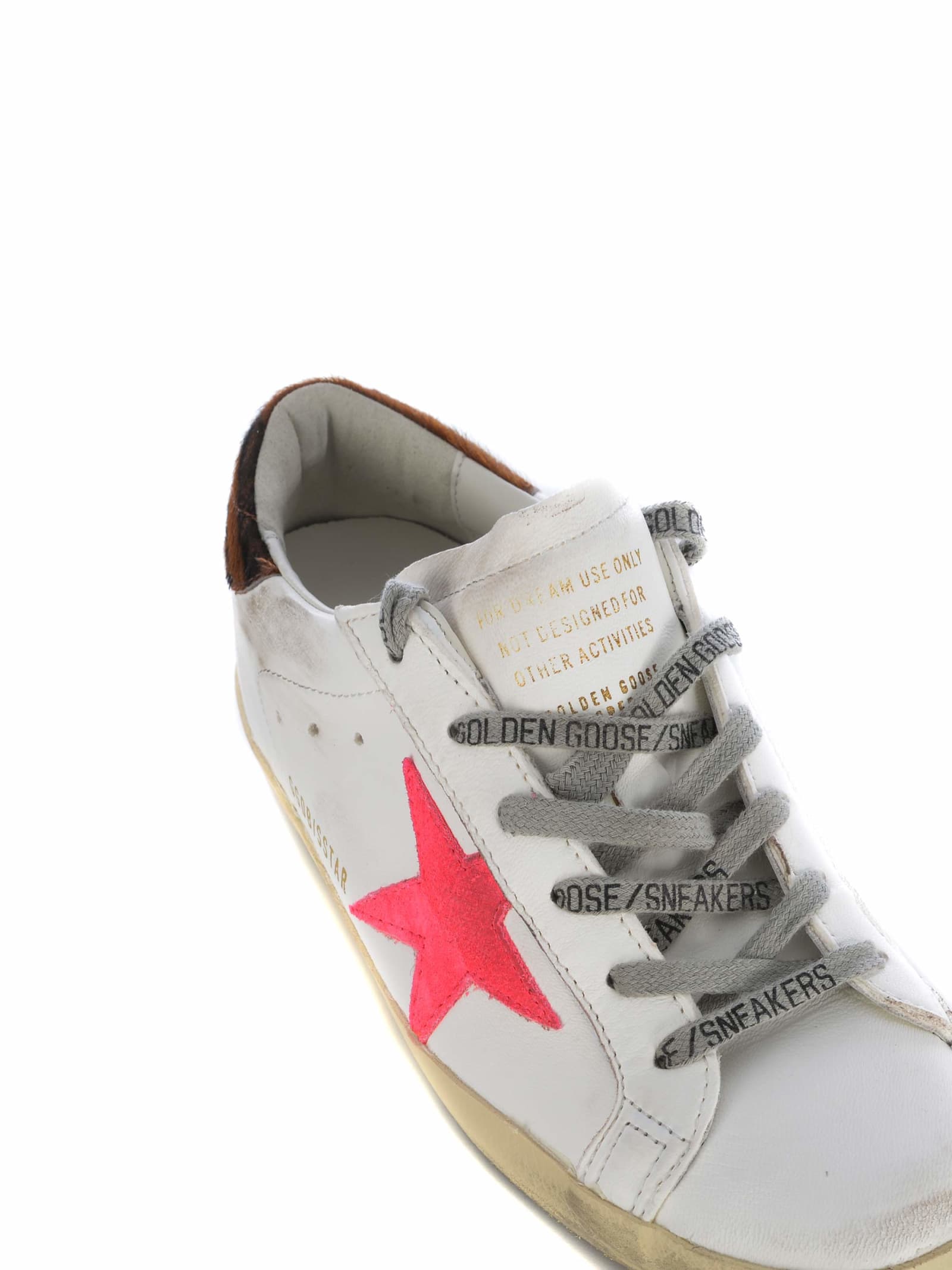 Shop Golden Goose Sneakers  Super Star In Leather In White