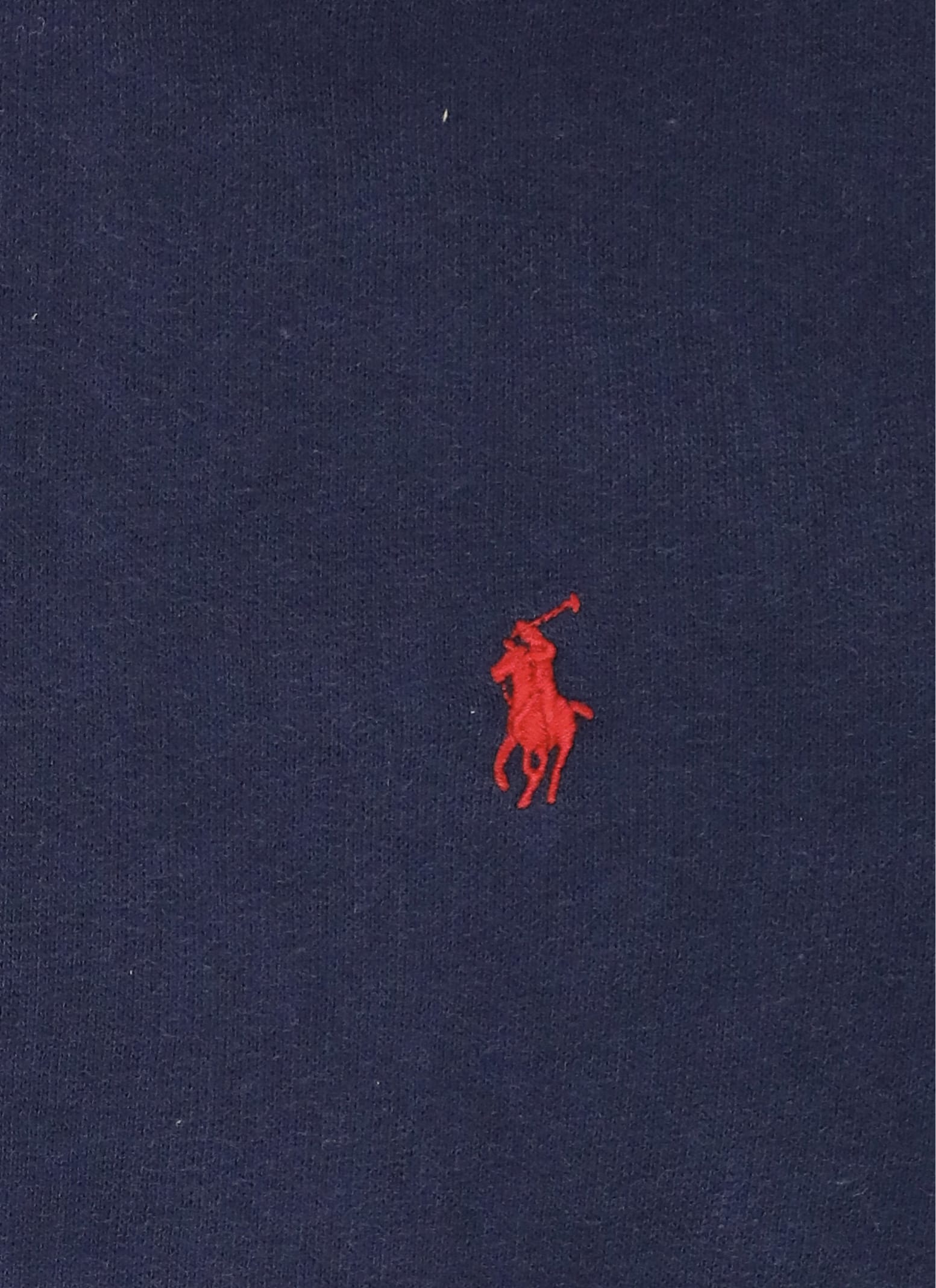 Polo Ralph Lauren Cotton Jersey Zipped Hoodie In Blue