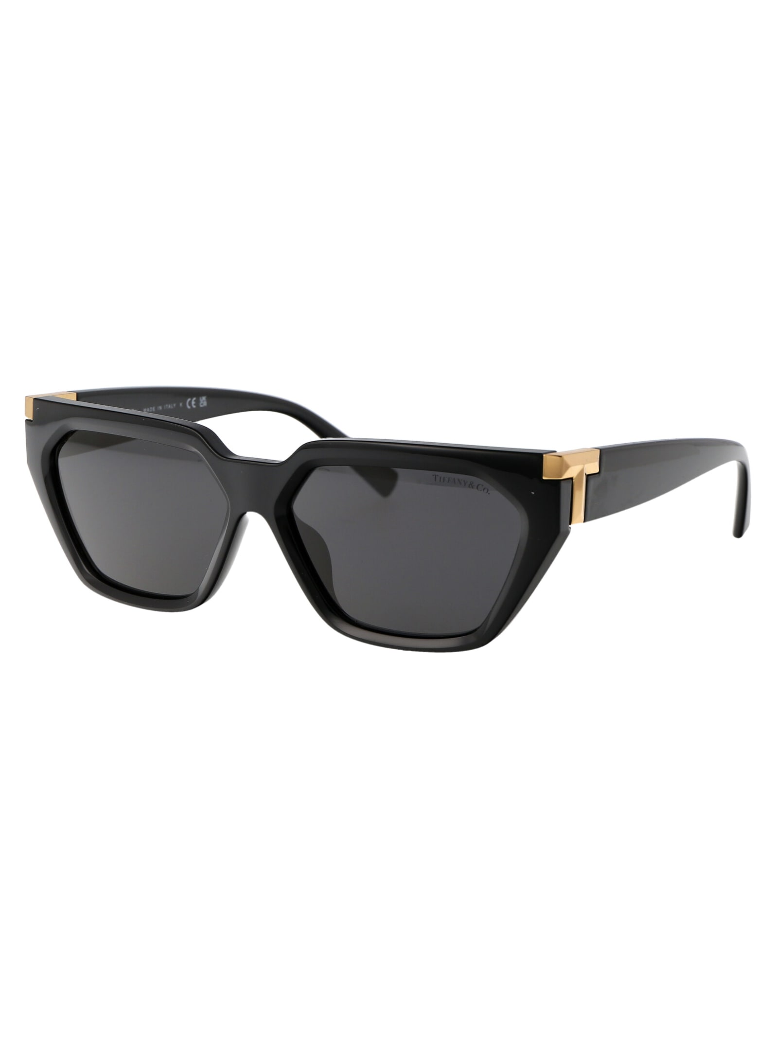 Tiffany &amp; Co. 0tf4205u Sunglasses In Black