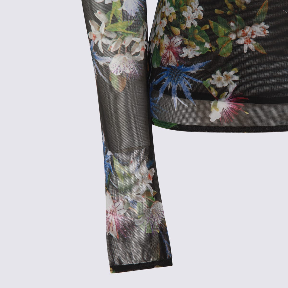 Blumarine Long Sleeve Floral Sheer Top In Multi