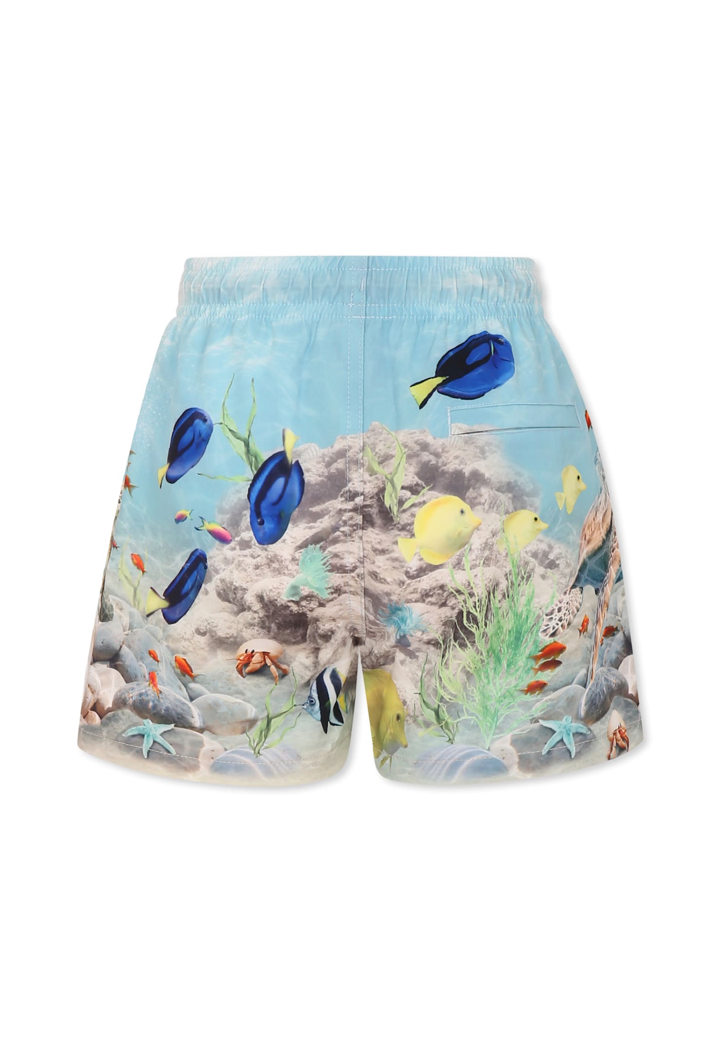 Molo Light Blue Swim Shorts For Boy With Ocean Print In Light Blue