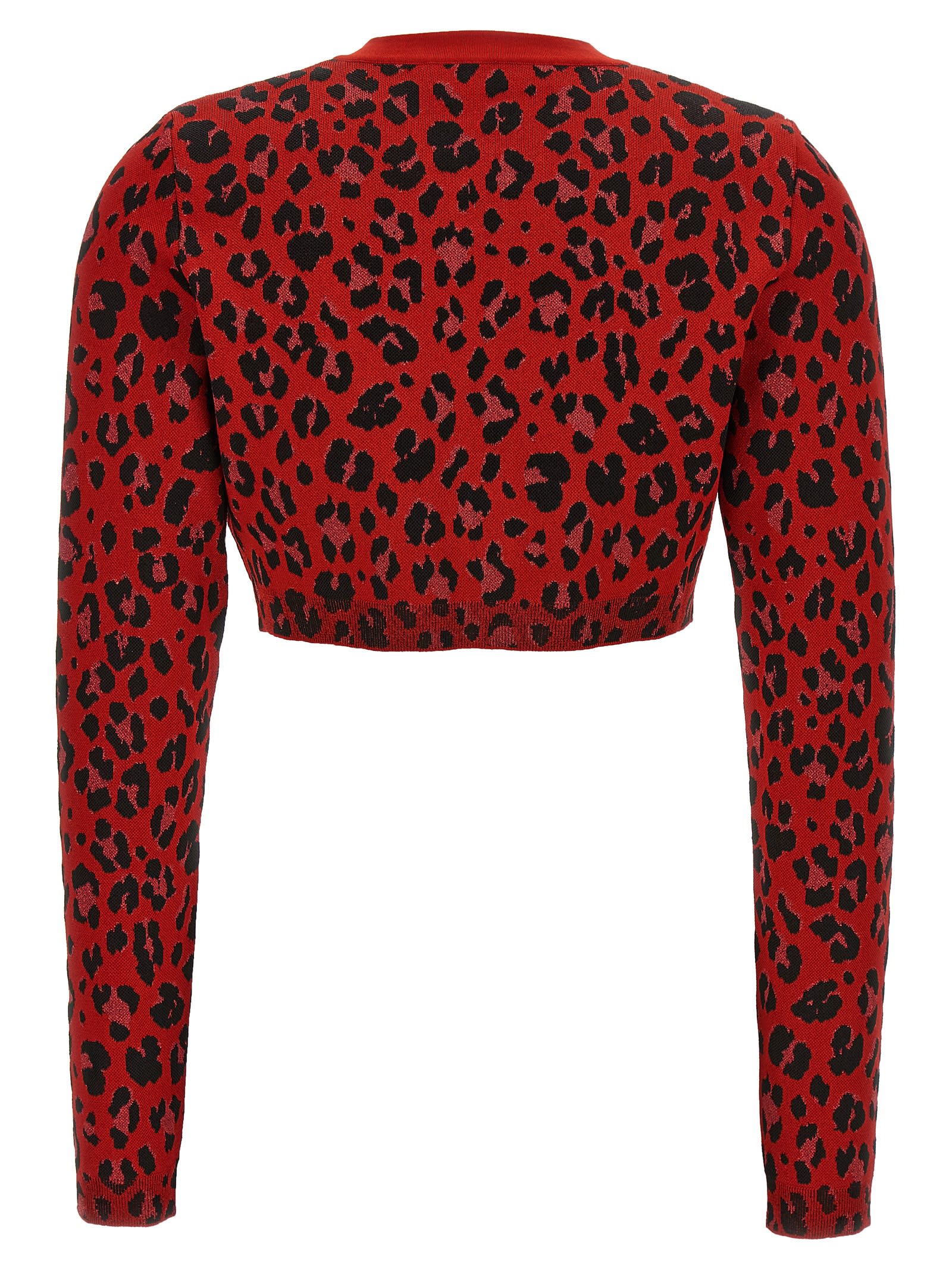 Shop Versace Animal Print Cropped Cardigan In Red