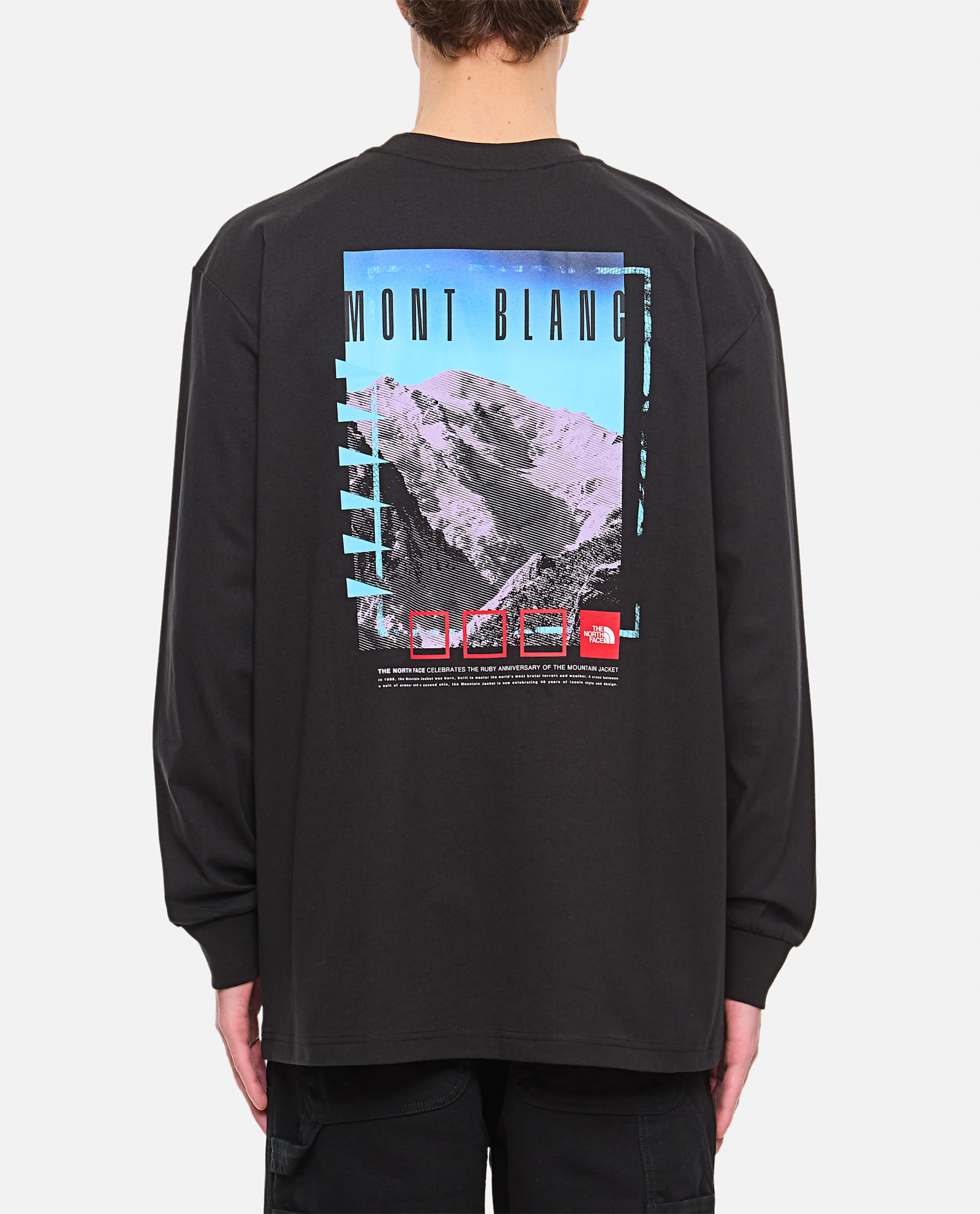 THE NORTH FACE LONG SLEEVE T-SHIRT 