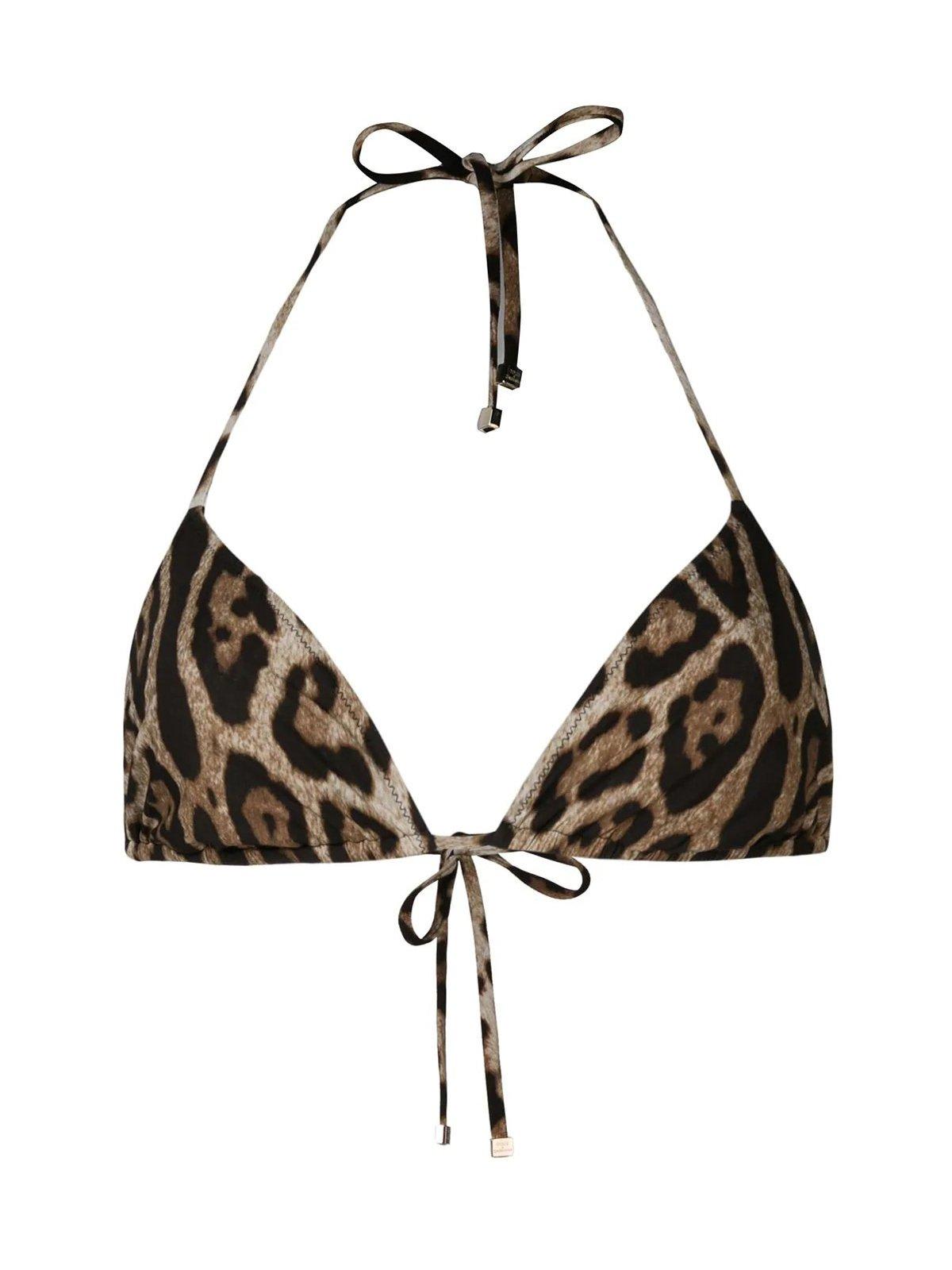Shop Dolce & Gabbana Leopard Print Bikini Top