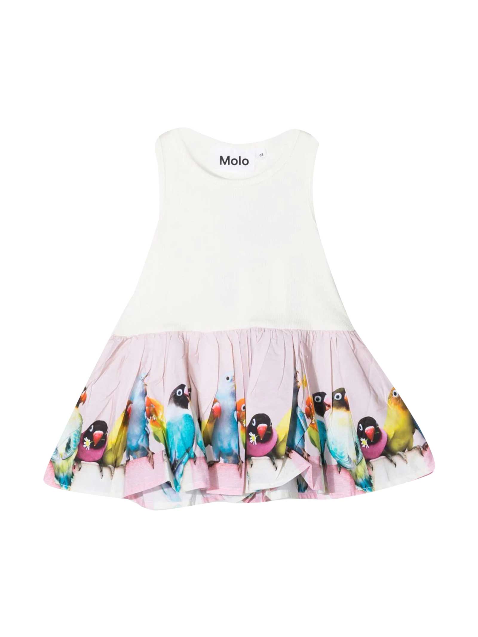 Molo Dress With Print