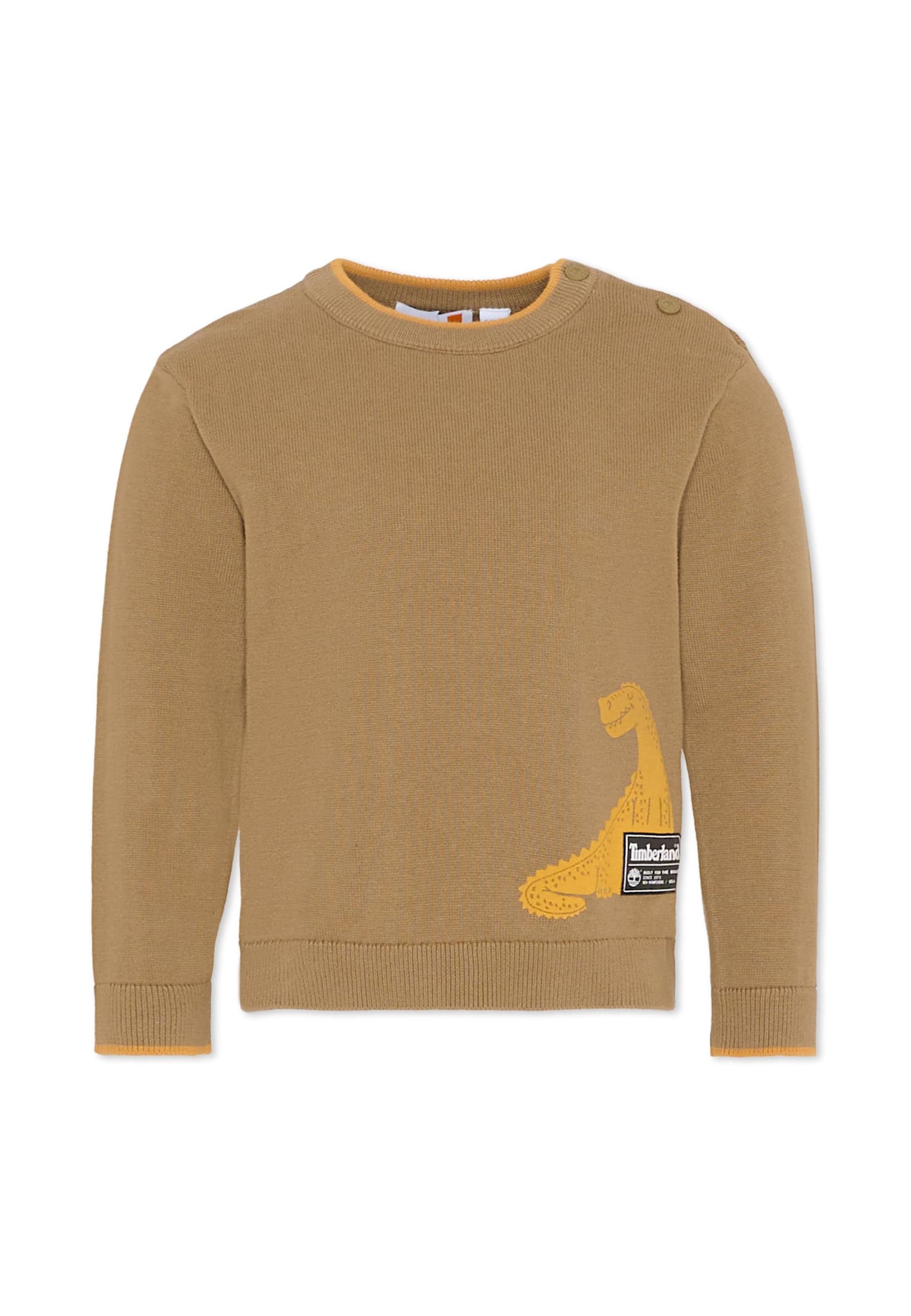 Timberland Green Sweater For Boy With Dinosaur In Brown