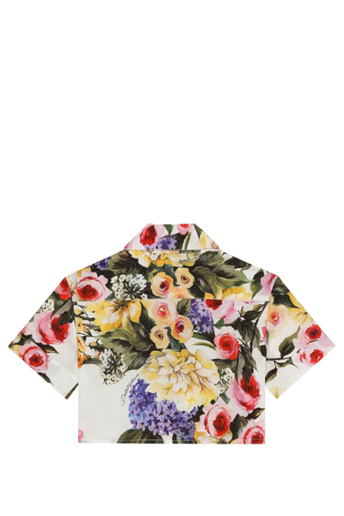 Shop Dolce & Gabbana Poplin Shirt With Garden Print In Multicolor