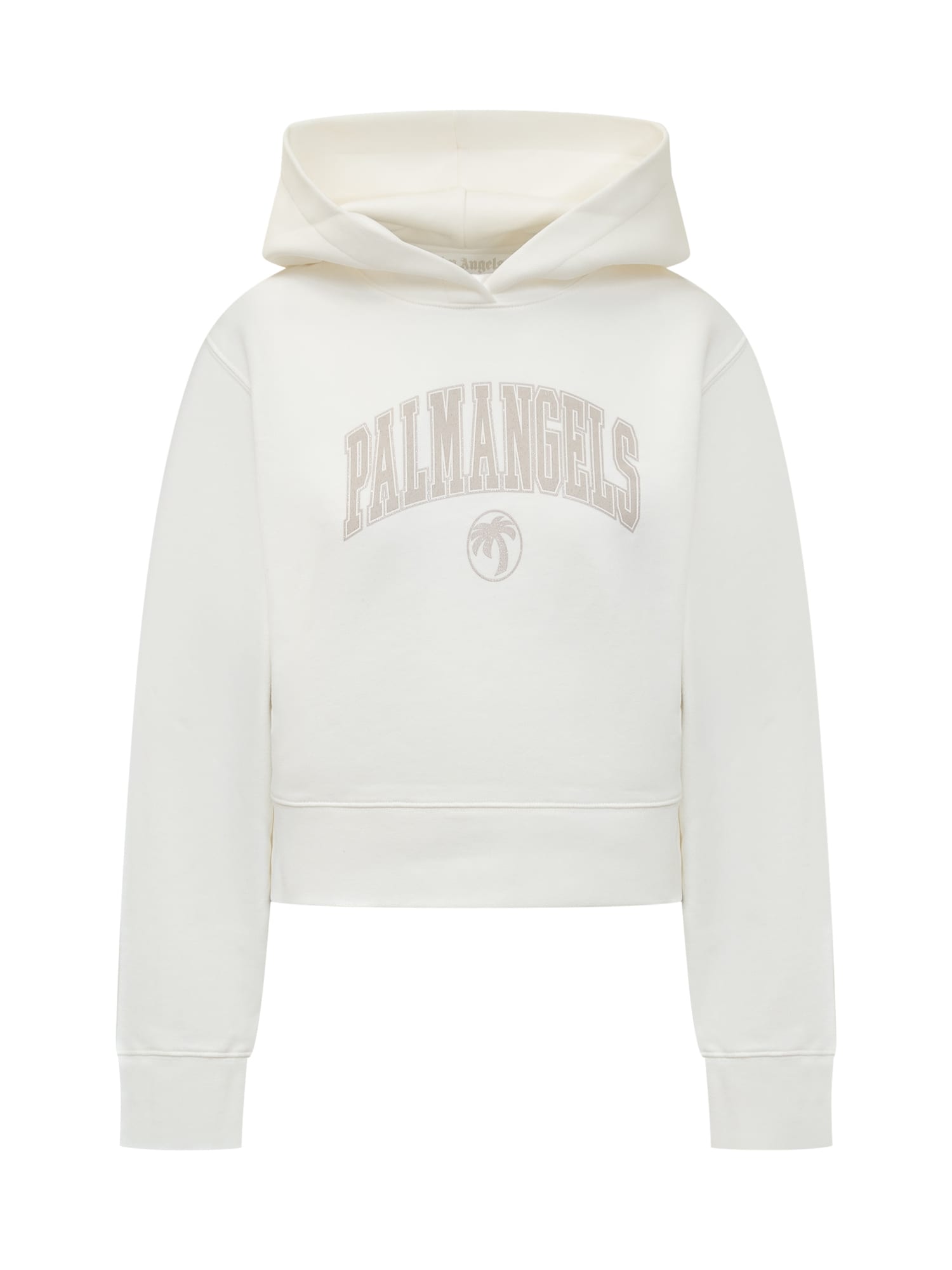 Collegge Palm Hoodie