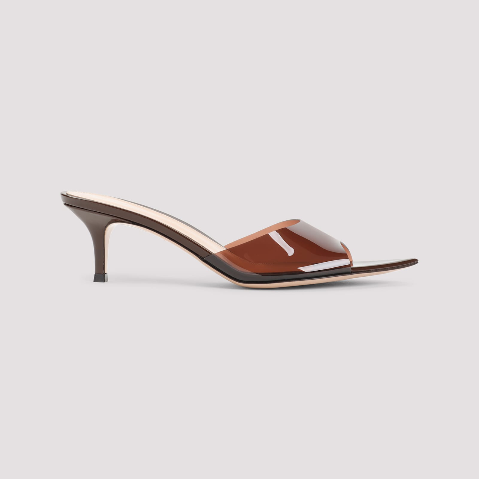 Gianvito Rossi Pointed Toe Mules With Semi-sheer Strap
