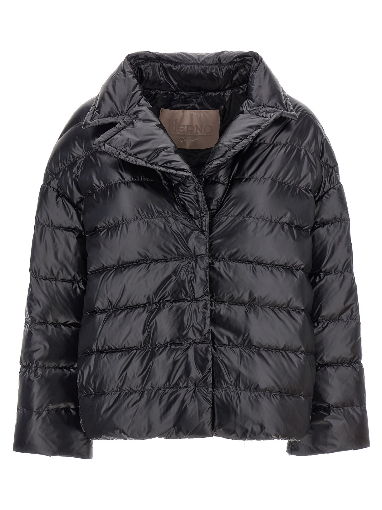 Shop Herno Hood Insert Down Jacket In Black