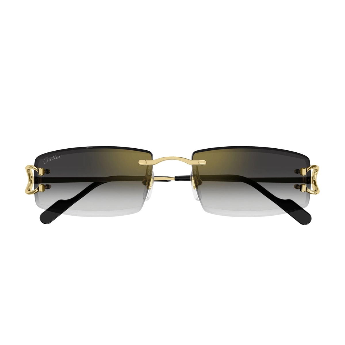 Cartier Ct0550 S Décor C Classique De In Black