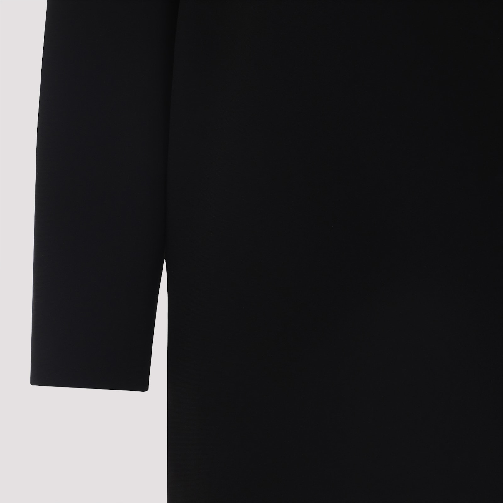 Max Mara Stand-up Collar Mini Dress With Long Sleeves In Black