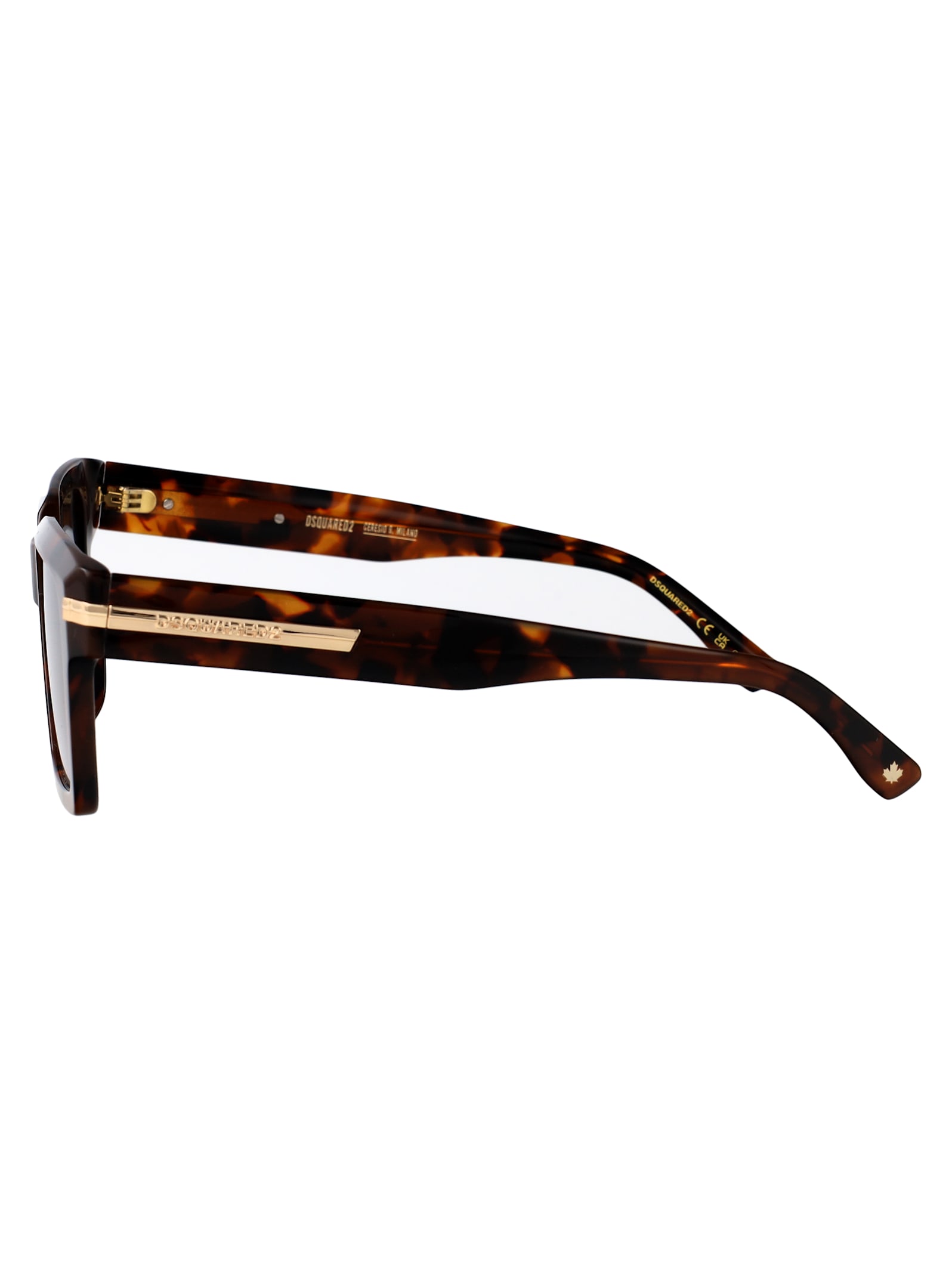 Dsquared2 D2 0161/g/s Sunglasses In Brown