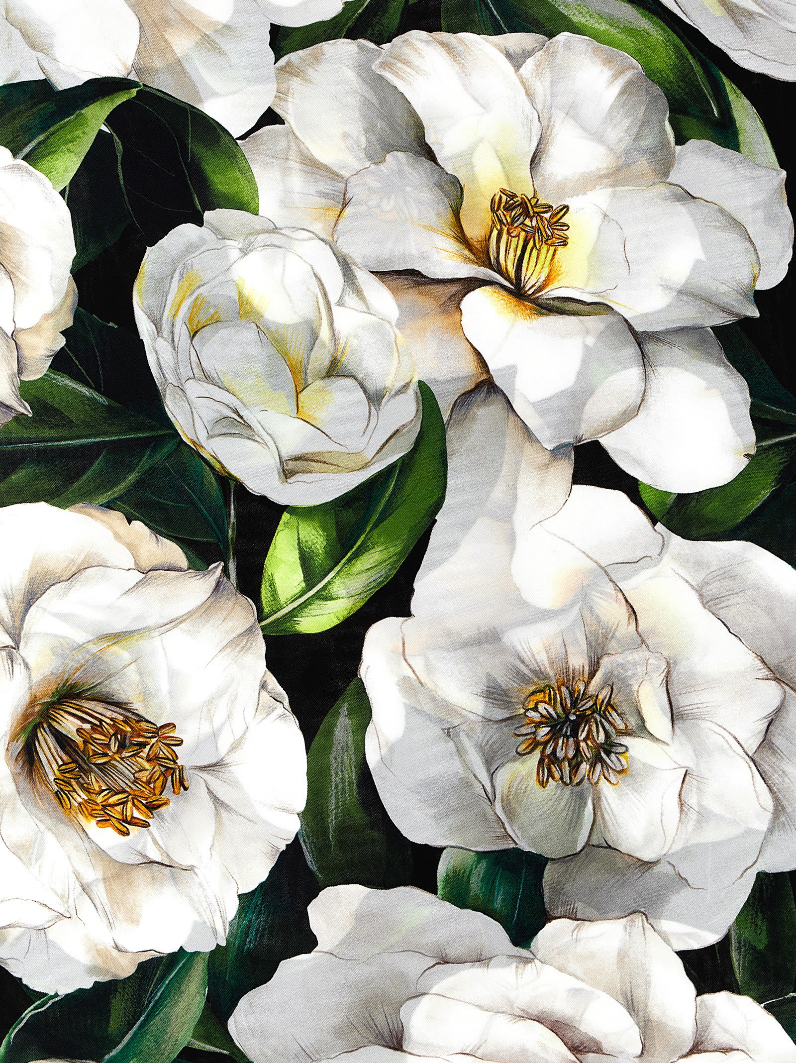 Dolce & Gabbana Floral Print Luxurious Silk Scarf In Multicolor