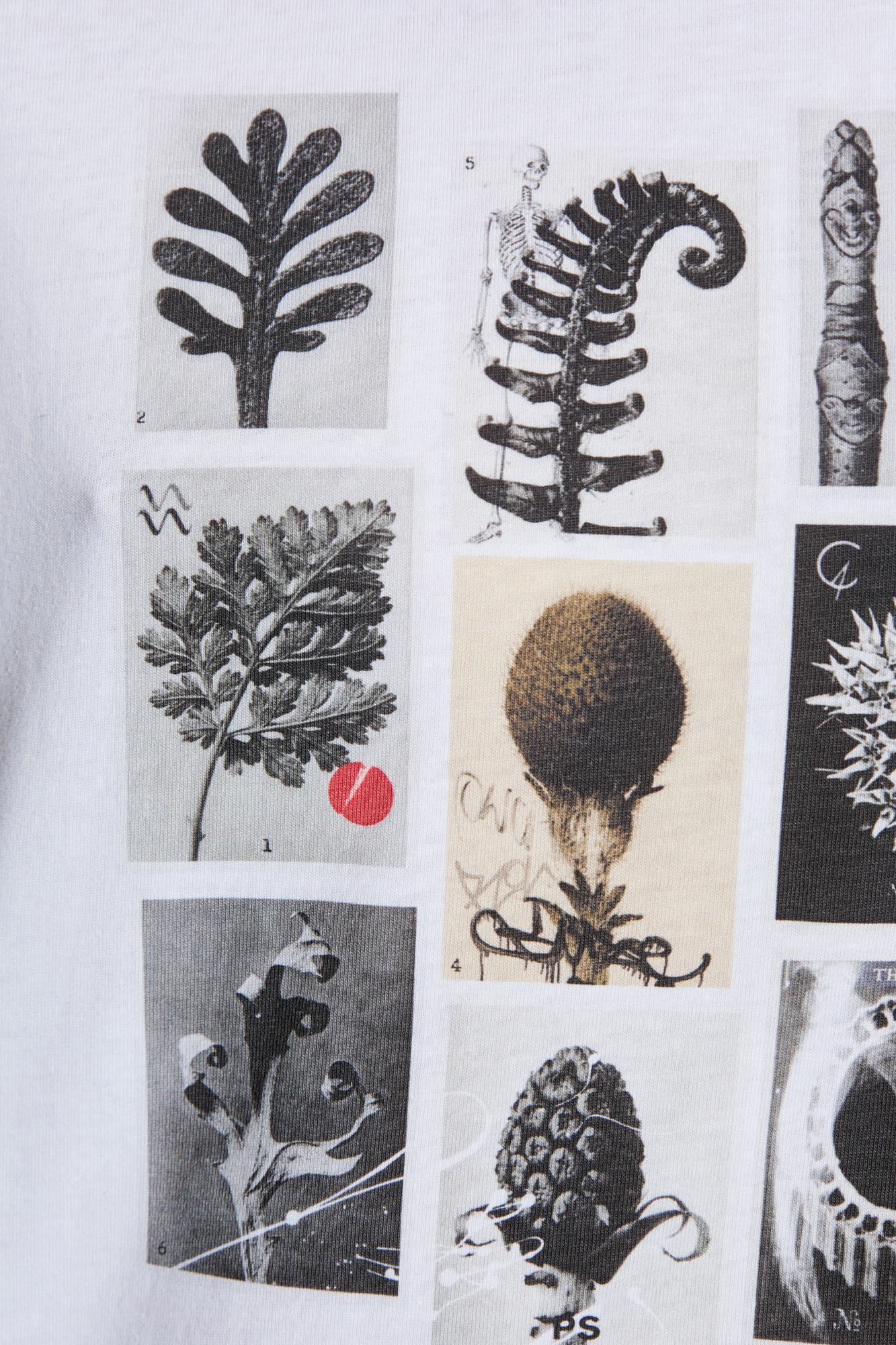 Shop Paul Smith Ps  T-shirt With Print In White