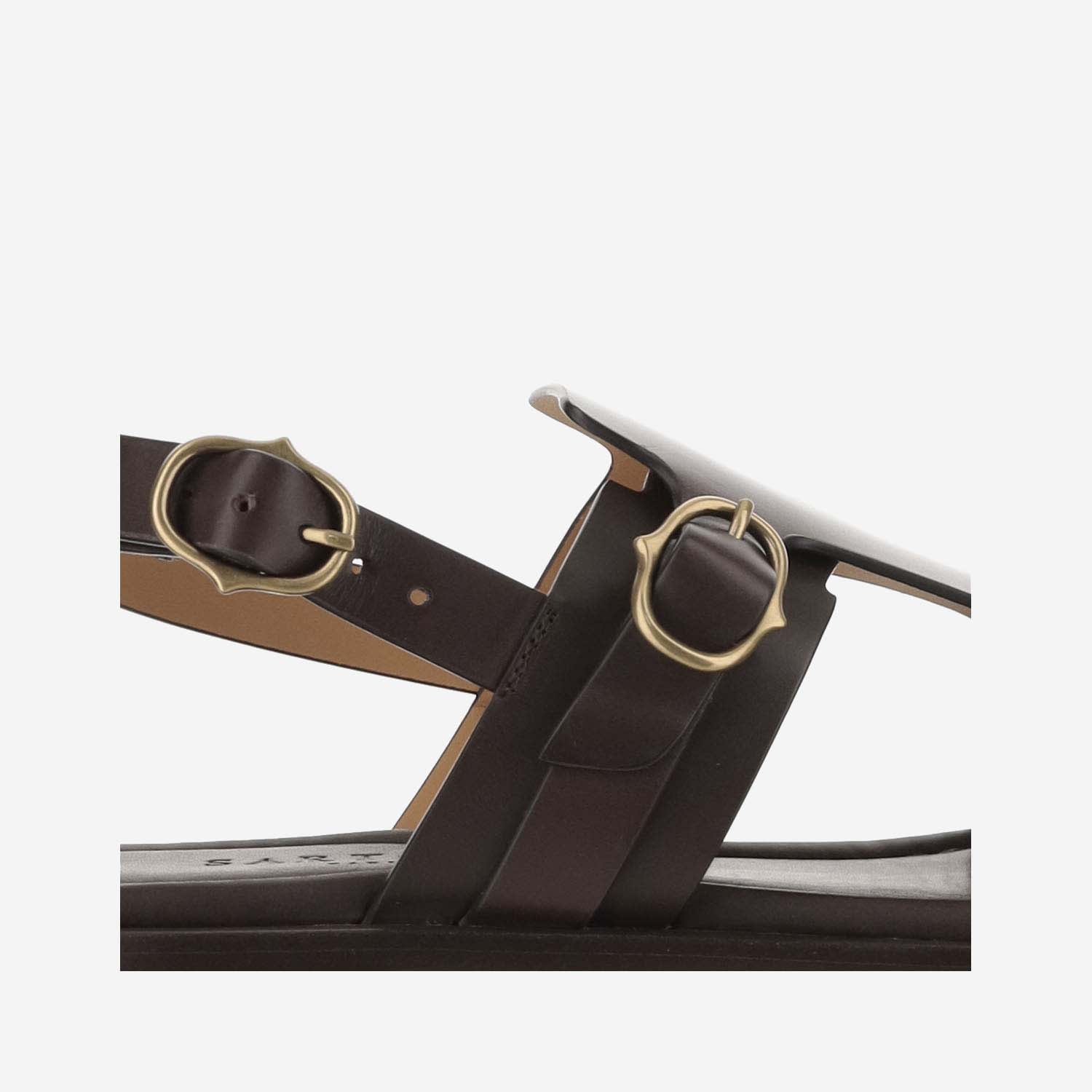 Shop Sartore Diver Leather Sandals In Brown