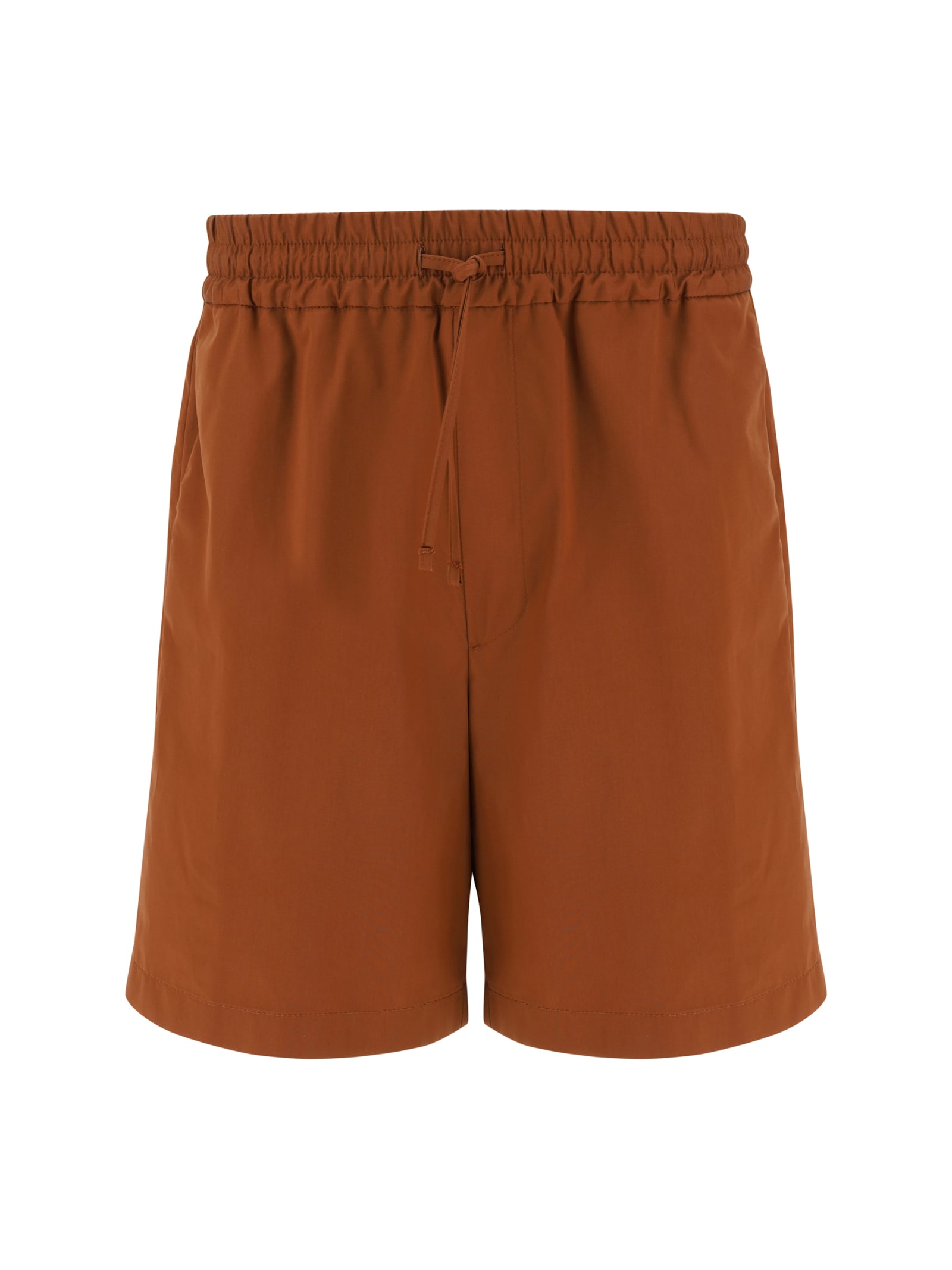 Shop Lardini Shorts In Marrone