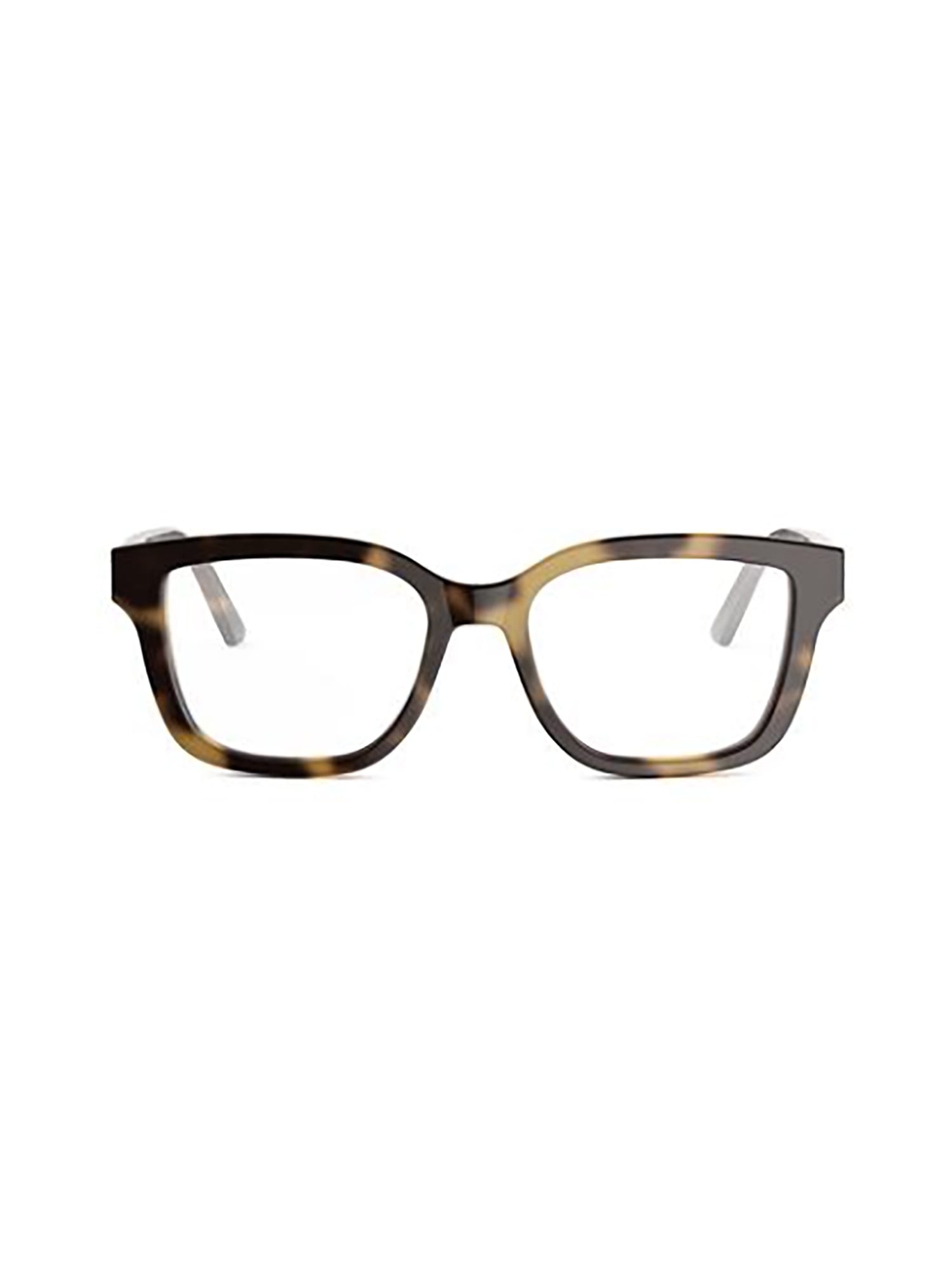 Dior Glowo S1i Eyewear In Multi