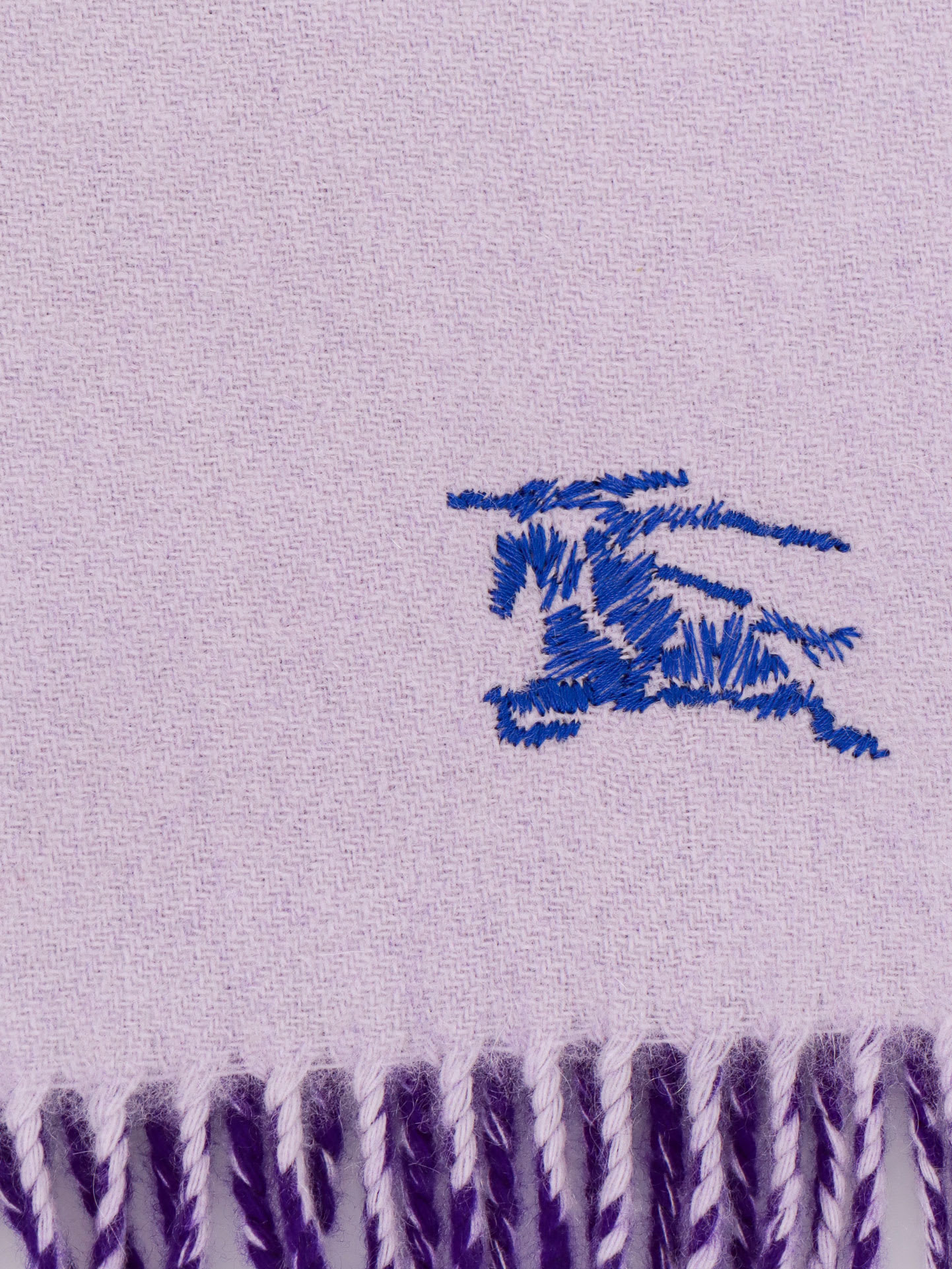 Shop Burberry Scarf In Purple