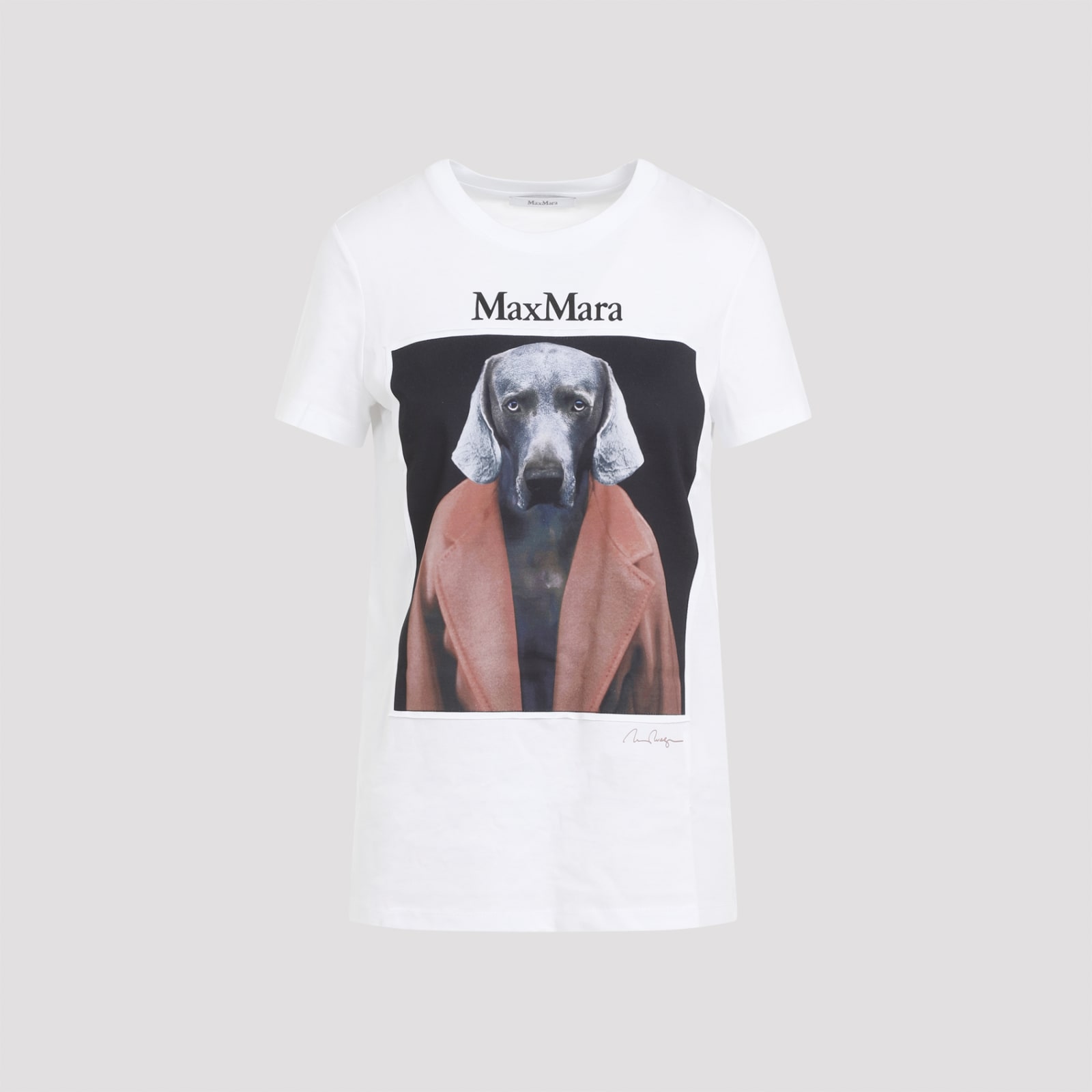 Shop Max Mara Cipria T-shirt Dog In Fragola