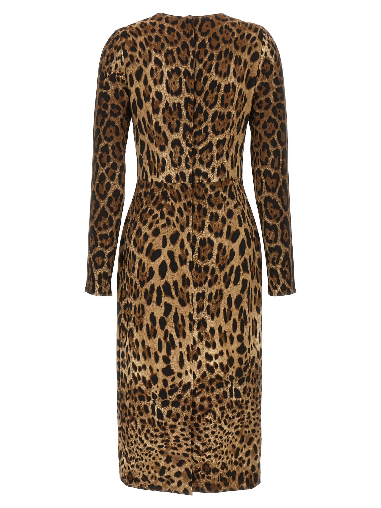 Shop Dolce & Gabbana Leopard Dress In Brown