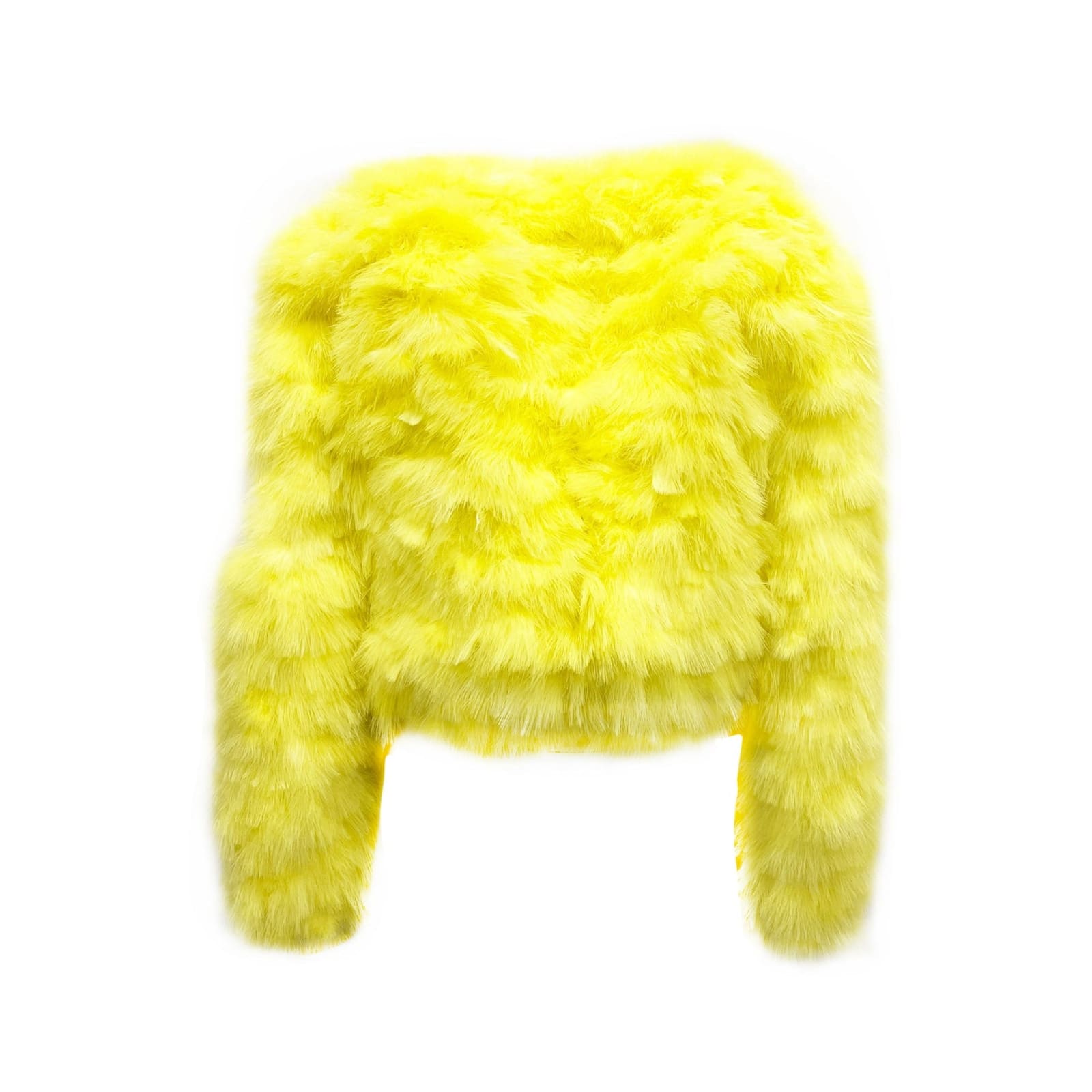 Shop Dsquared2 Feathers Bomber Jacket In Yellow