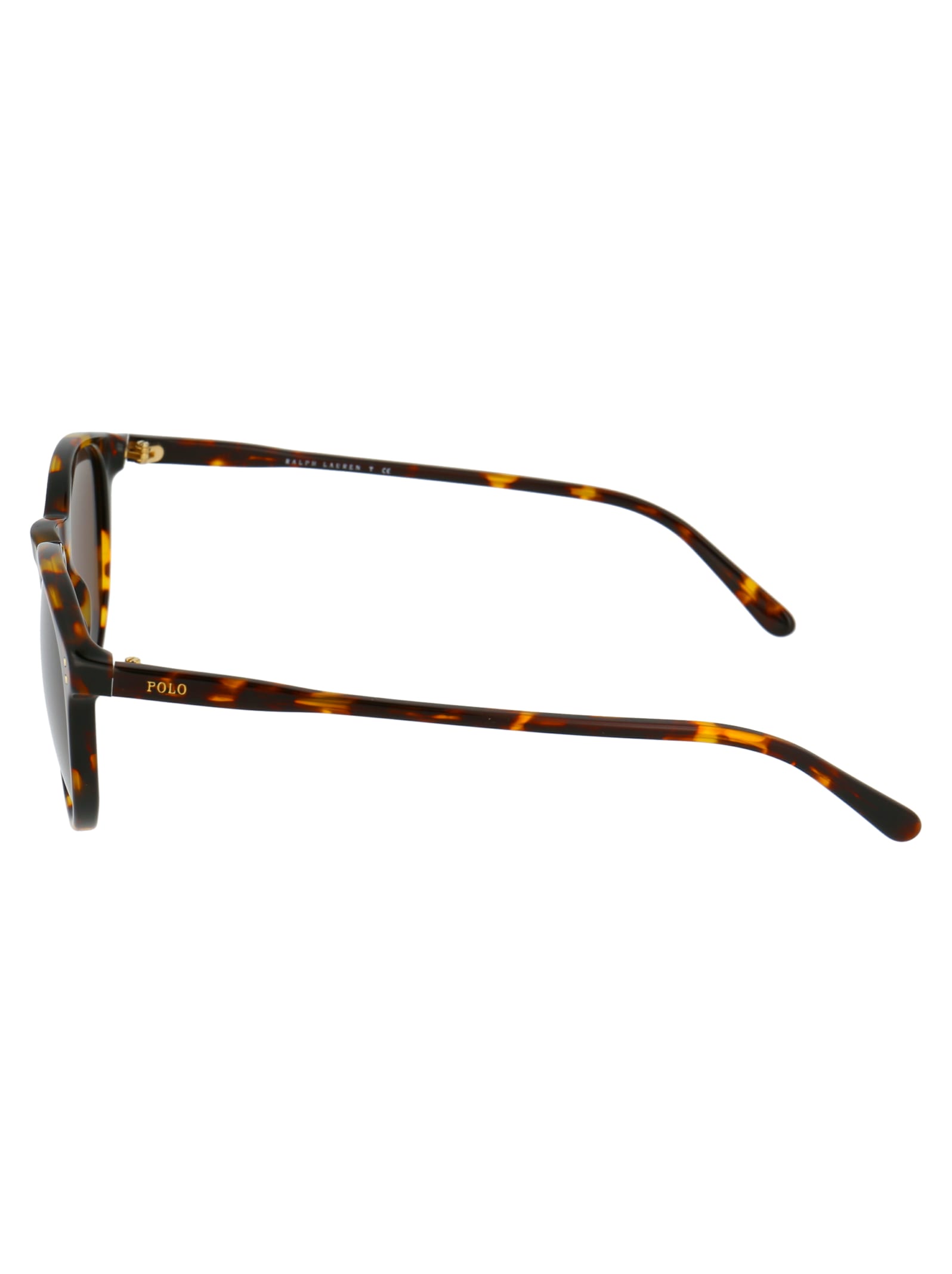 Shop Polo Ralph Lauren 0ph4110 Sunglasses In 513473 Havana