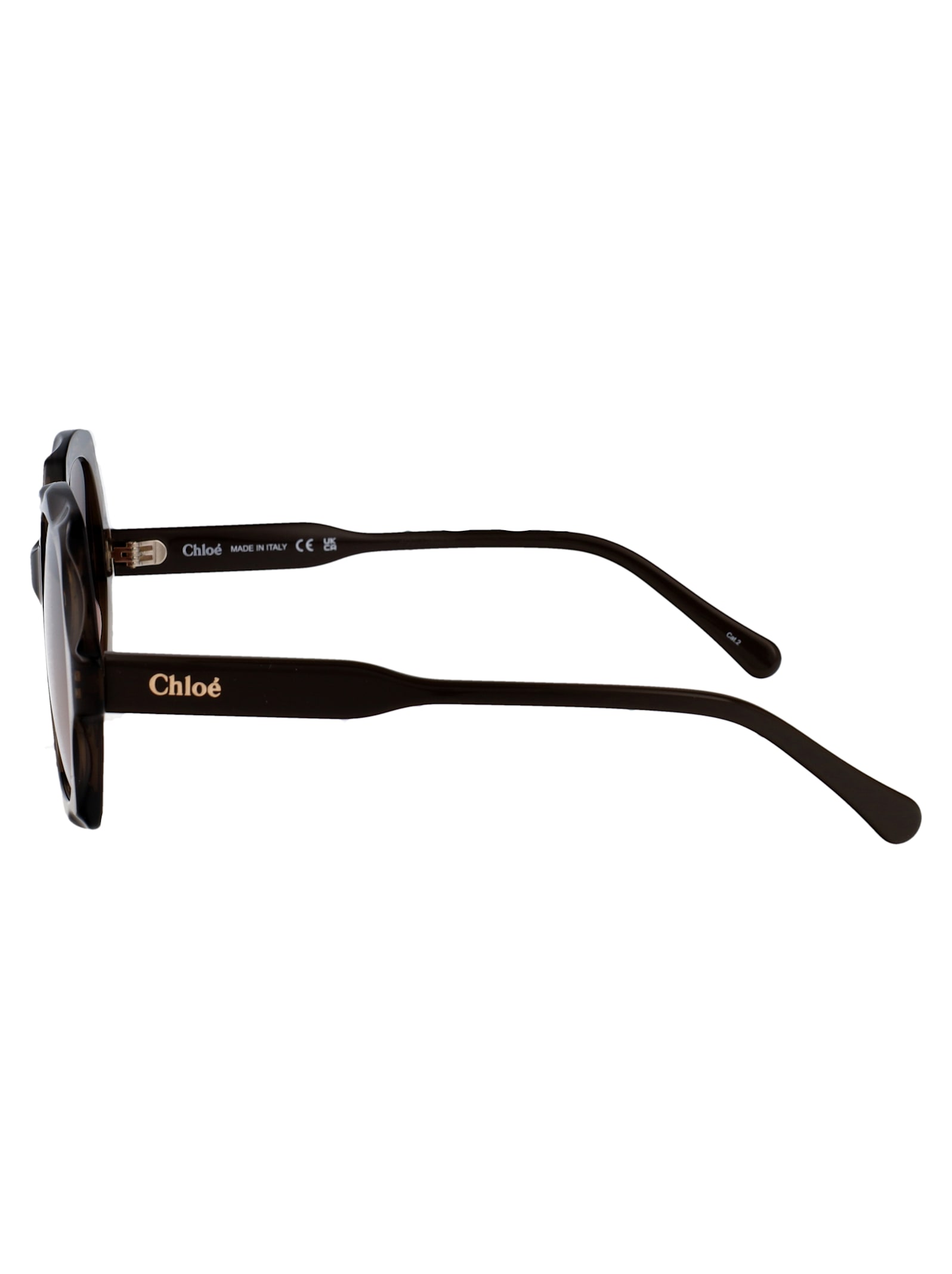Chloé Ch0226s Sunglasses In Brown