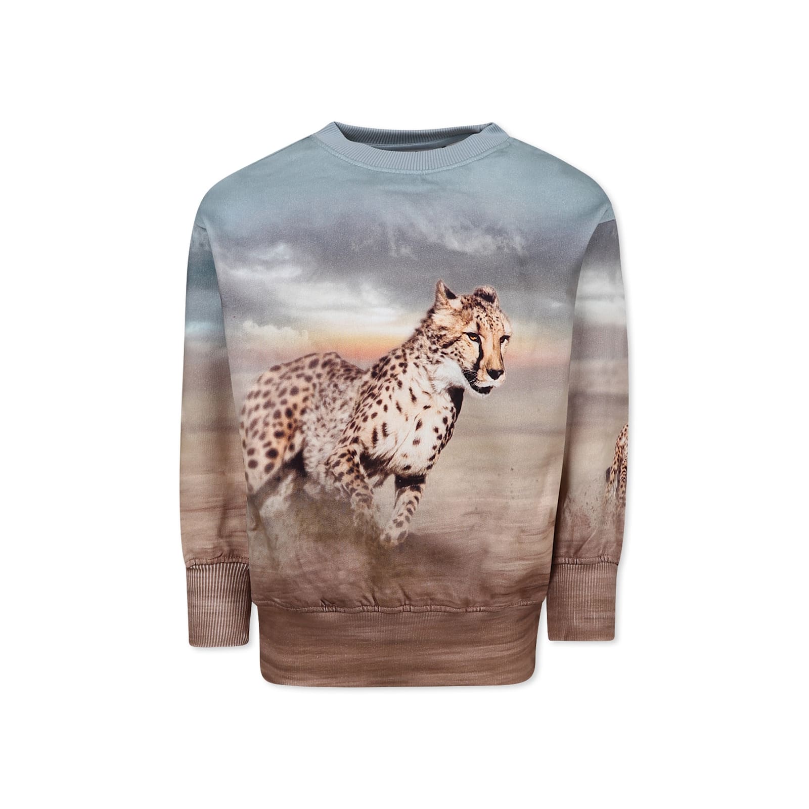 Molo Multicolor Sweatshirt For Boy With Cheetah In Multicolor