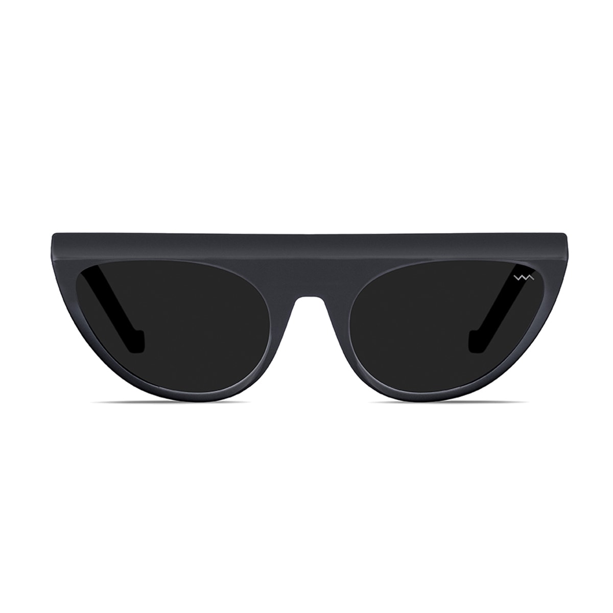 Bl0027 Black Label Black Matte Sunglasses