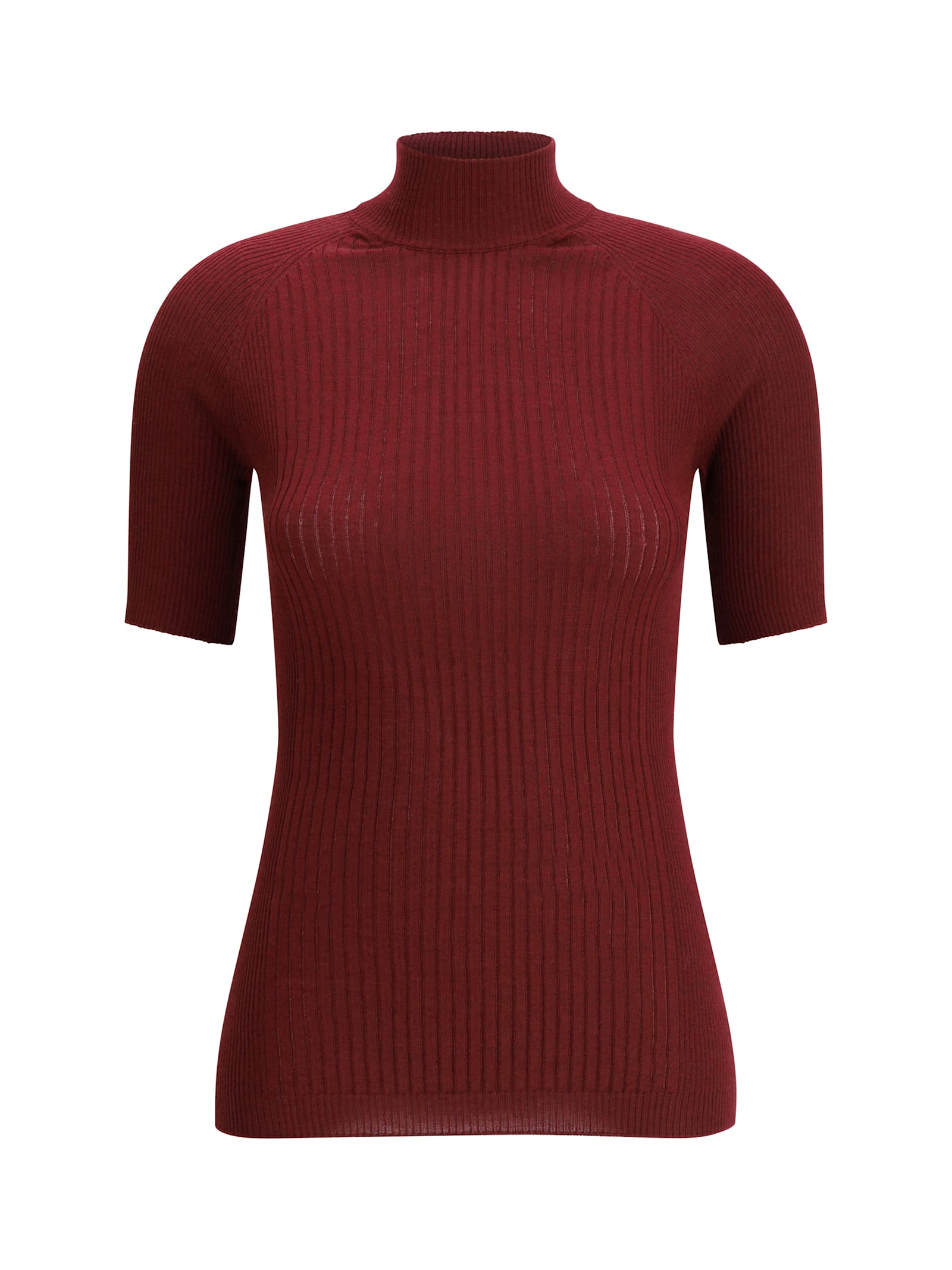 Sa Su Phi Ribbed Knit Top In Burgundy