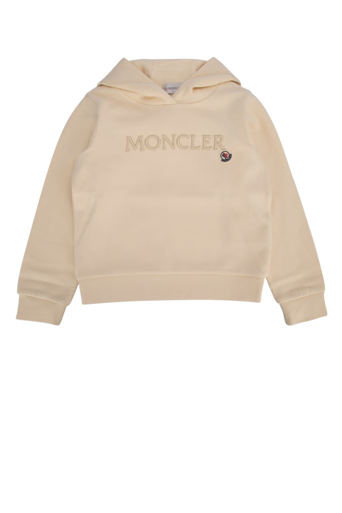 Moncler Hoodie Sweater In 050