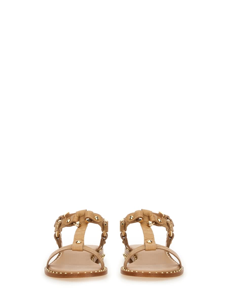 Ash Crocodile Print Sandal With Studs In Brown
