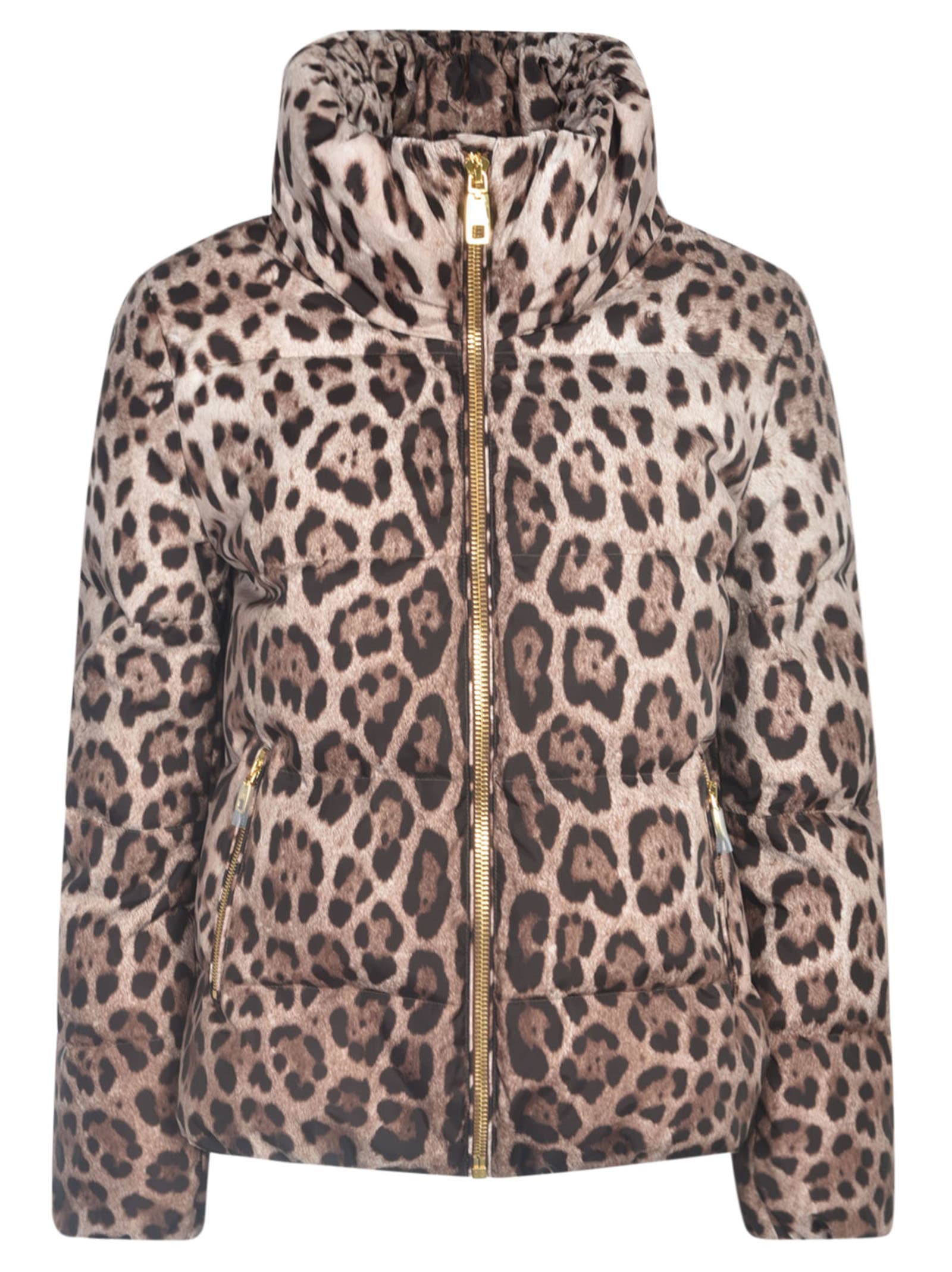 Shop Dolce & Gabbana Animal Print Zip High Neck Padded Jacket In Leo New