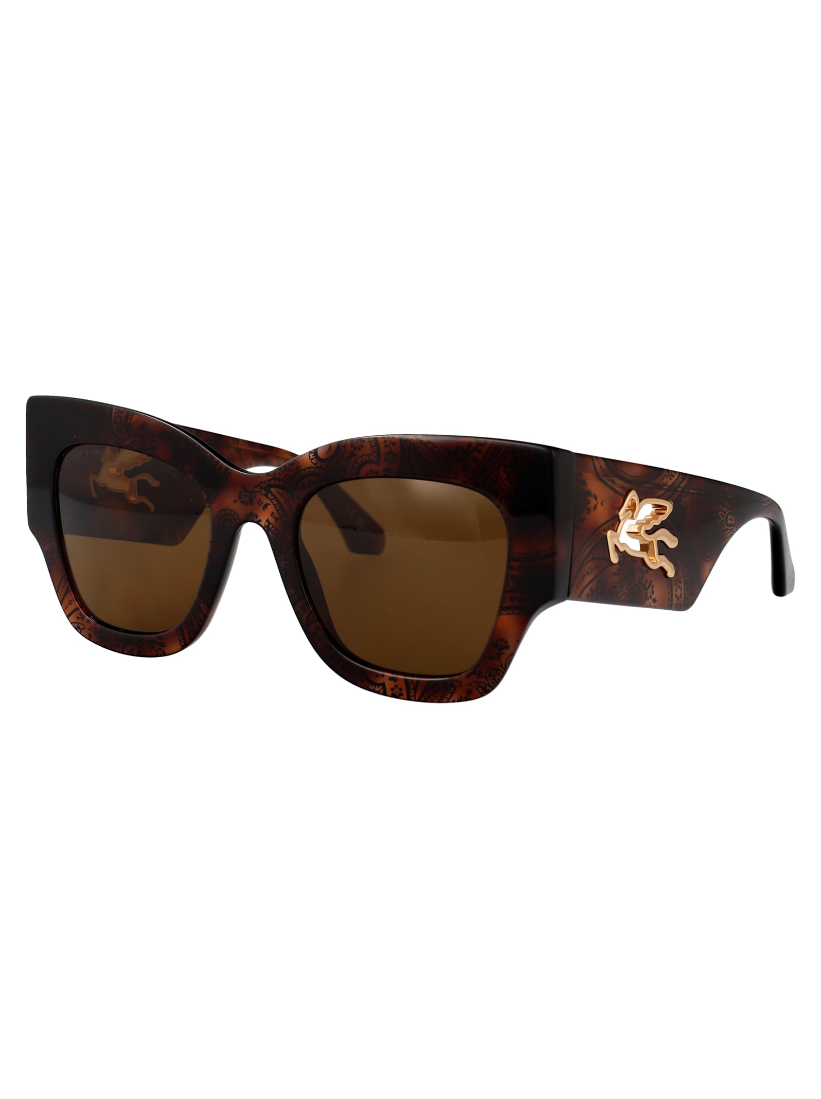 Etro Pattern Havana Acetate Sunglasses In Brown