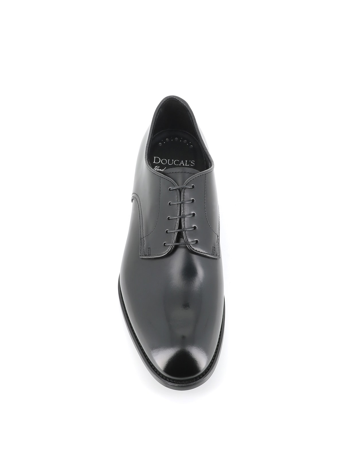 Doucal's Derby In Black