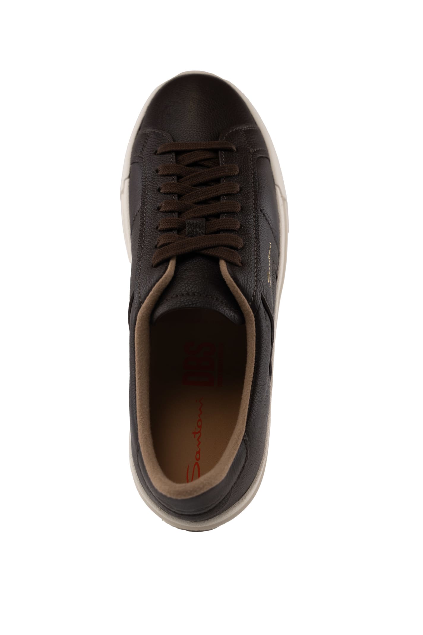 Shop Santoni Dbs Sneakers In Brown Leather In Marrone