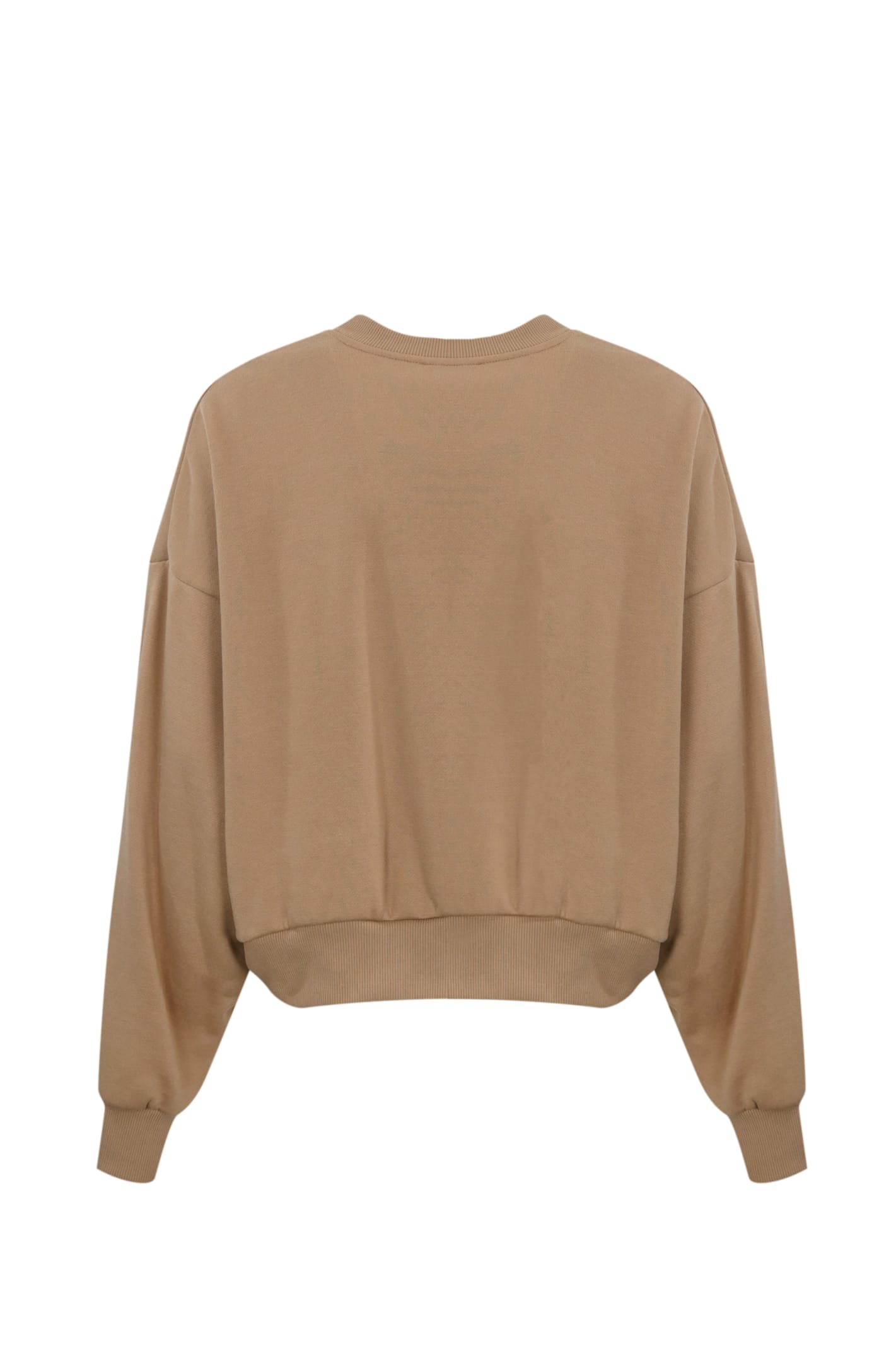 Shop Elisabetta Franchi Cropped Sweatshirt In College Style Logo Cotton In Camel