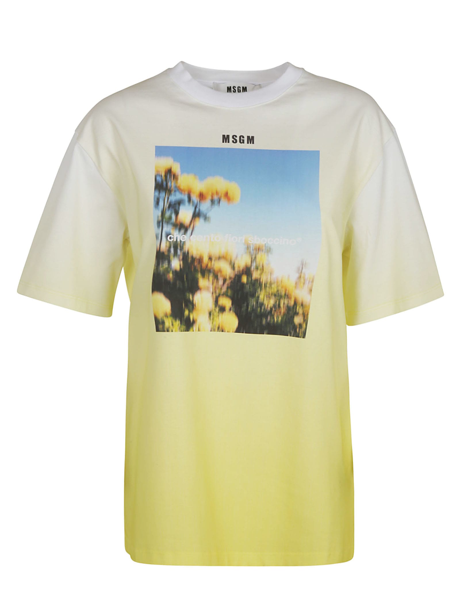 Msgm Graphic Logo-print T-shirt In Yellow