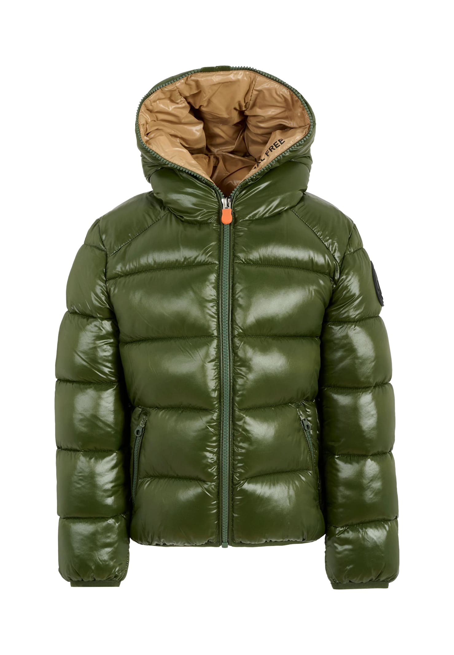 Save The Duck Green Artie Down Jacket For Boy With Logo In Green