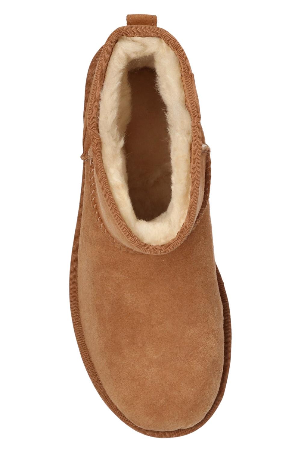 Shop Ugg W Classic Mini Ii Suede Snow Boots In Castagna