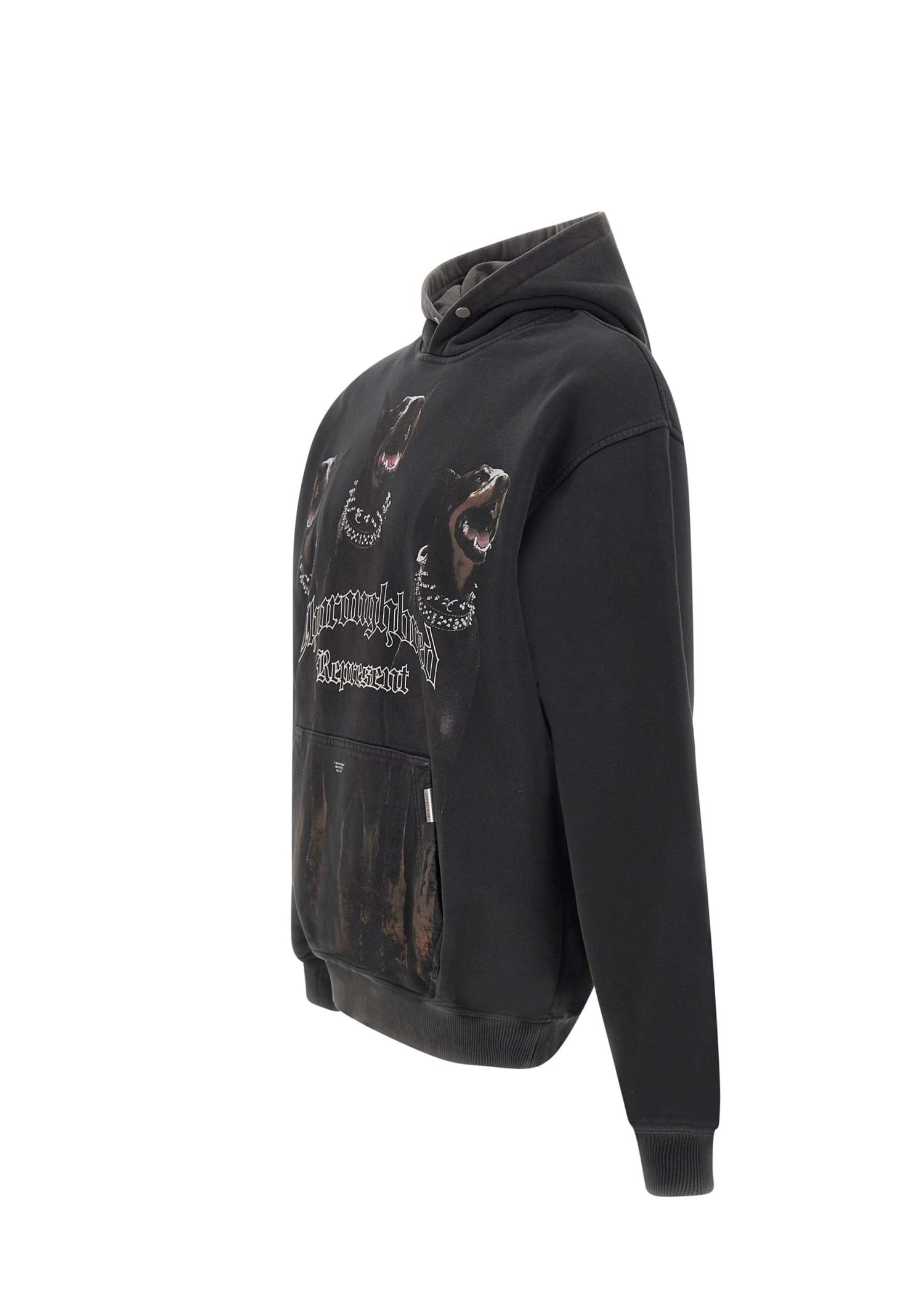 Shop Represent Thoroughbred Cotton Sweatshirt In Black